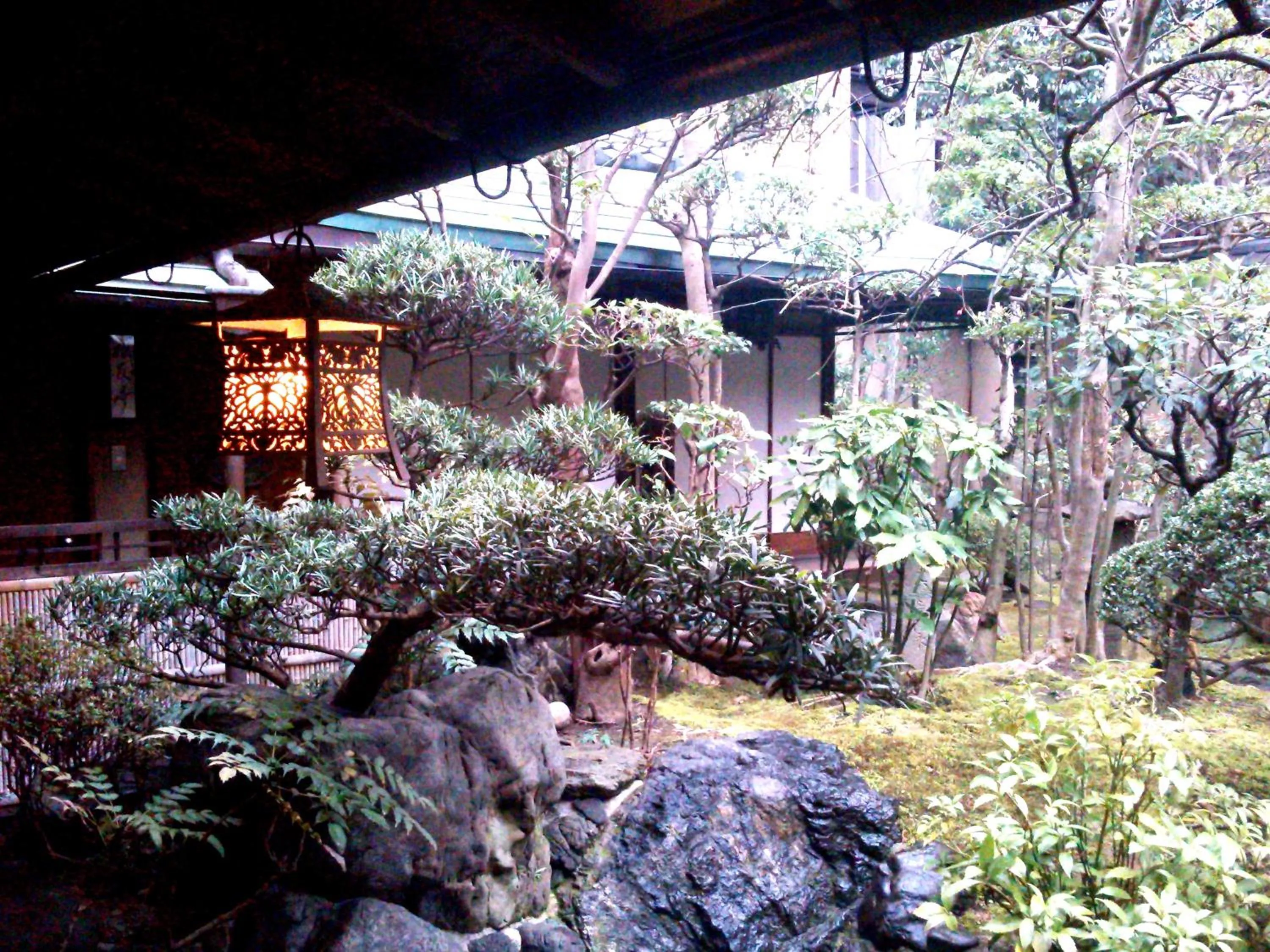 Garden in Nissho Besso