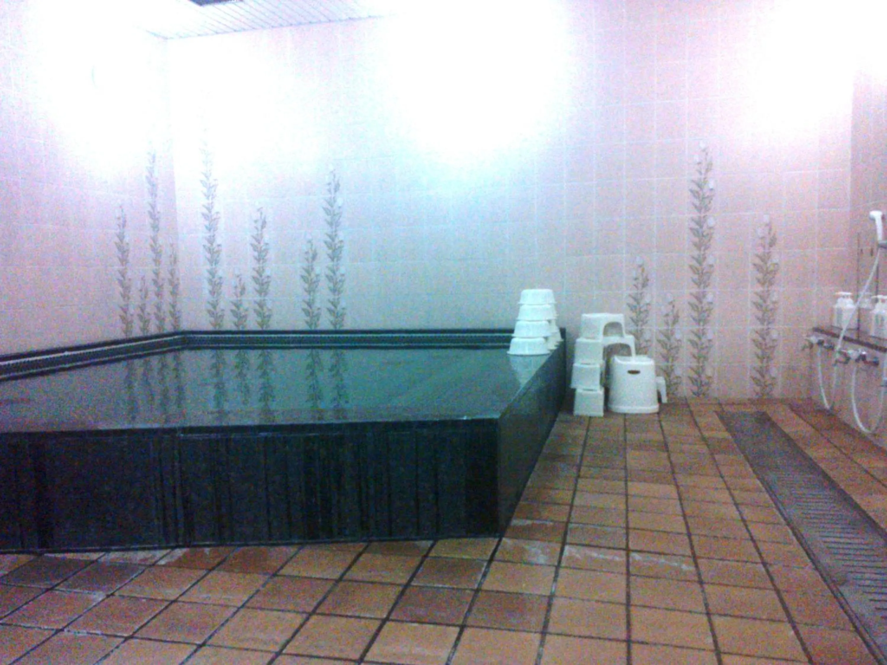 Spa and wellness centre/facilities in Nissho Besso