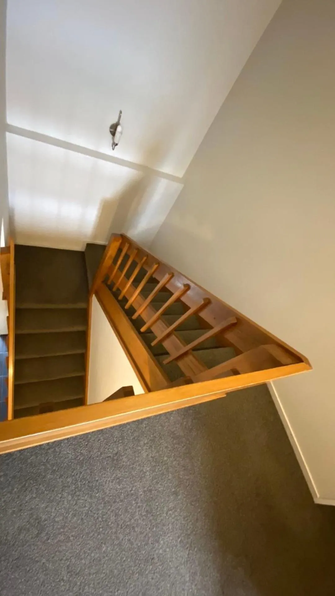 Area and facilities in Southern Comfort Motel