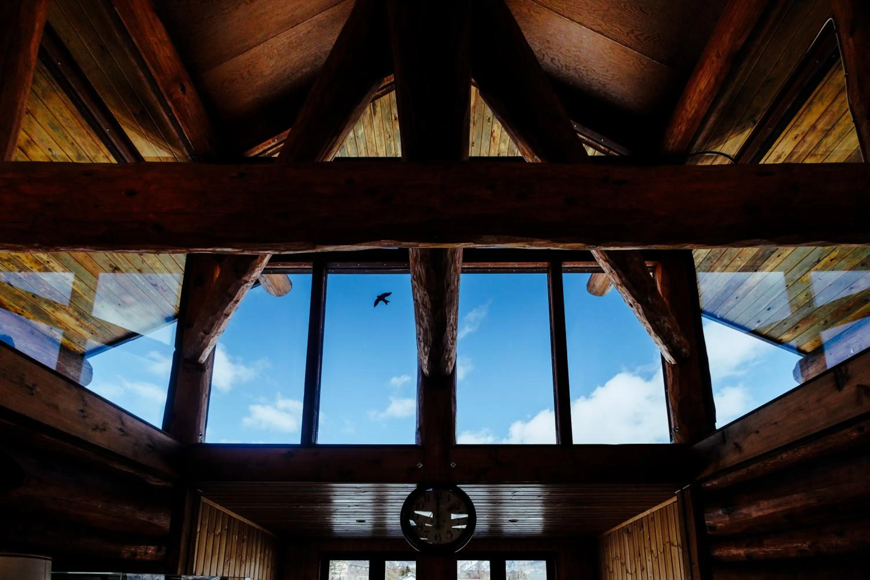 Day in Hakuba Brownie Cottages