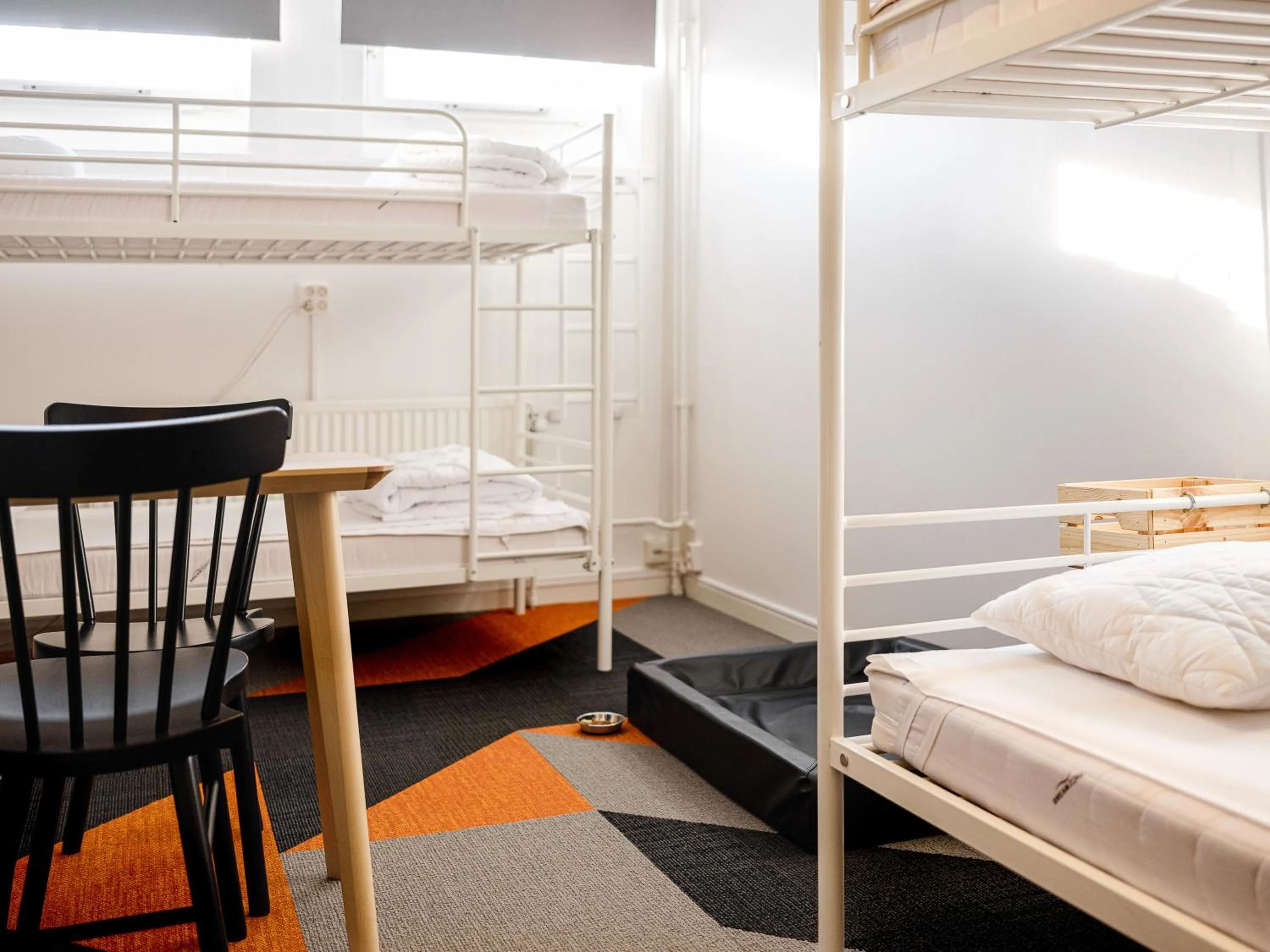 Pets, Bed in Norrland YMCA Hostel Umeå