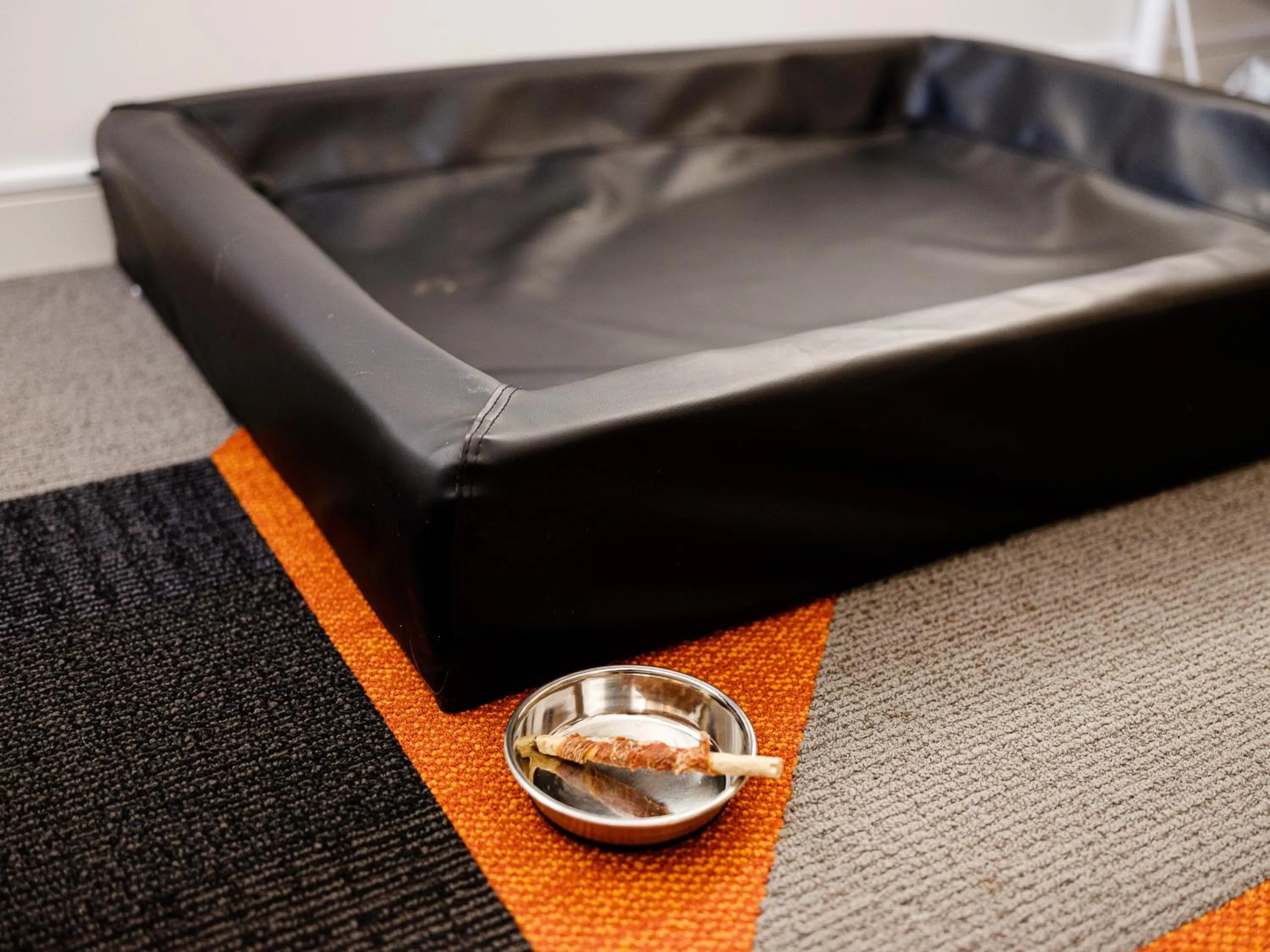 Pets in Norrland YMCA Hostel Umeå