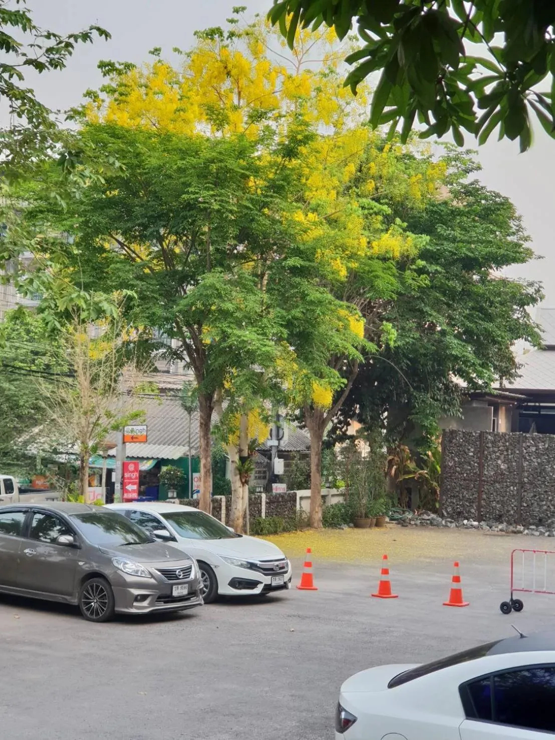 Property building in S48 Hotel