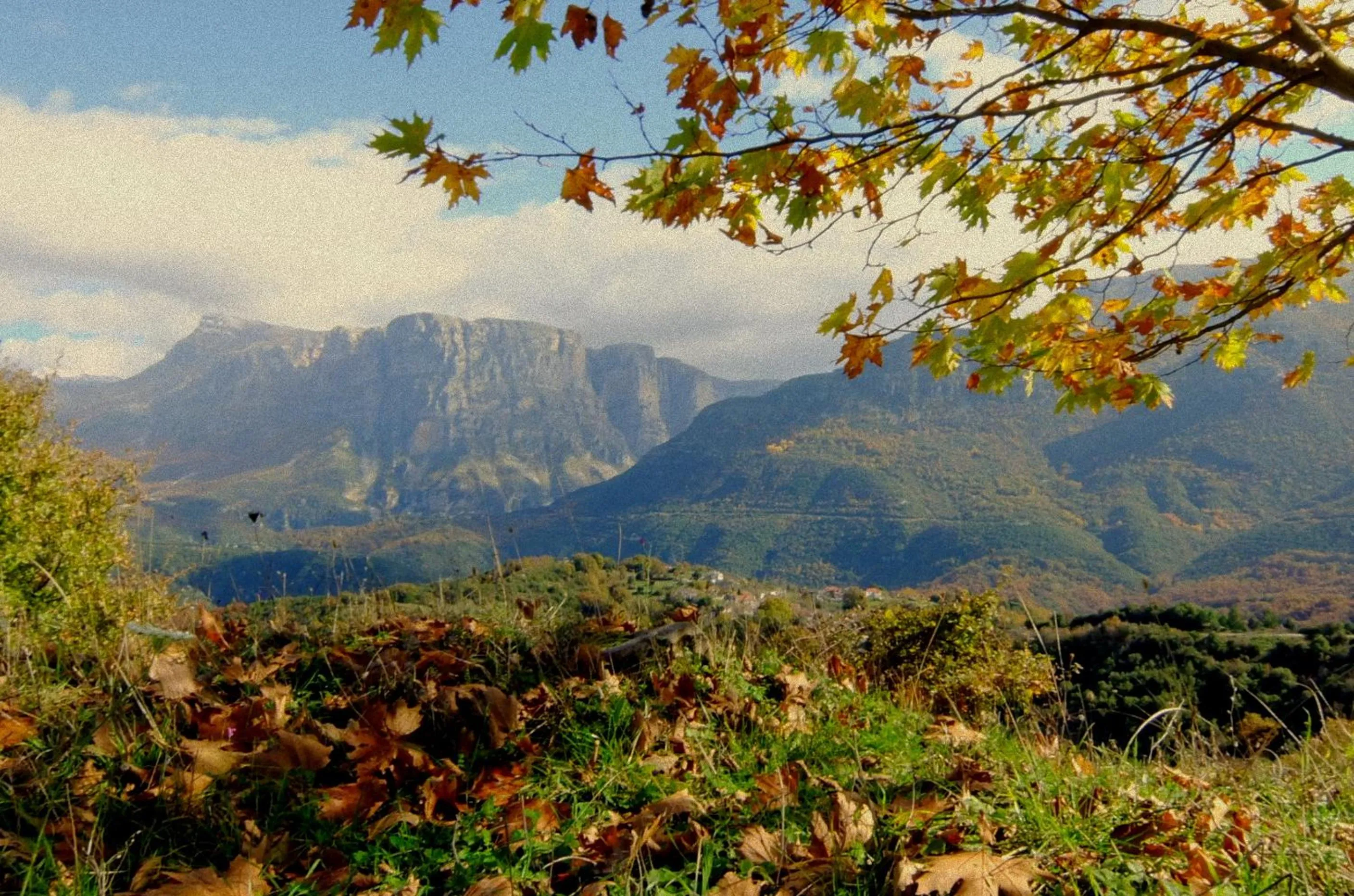 Day in Artsistas Houses