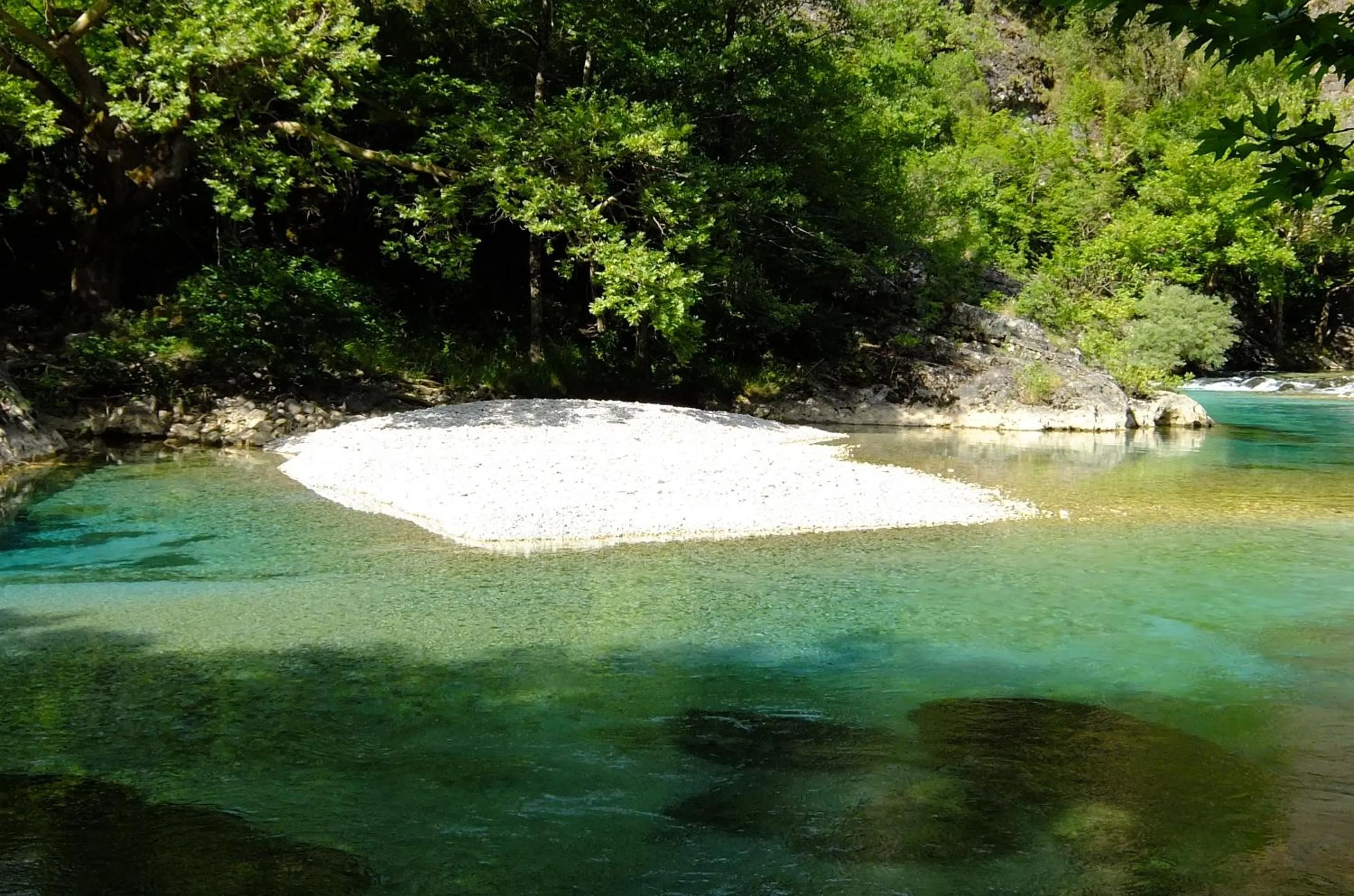 Activities in Artsistas Houses