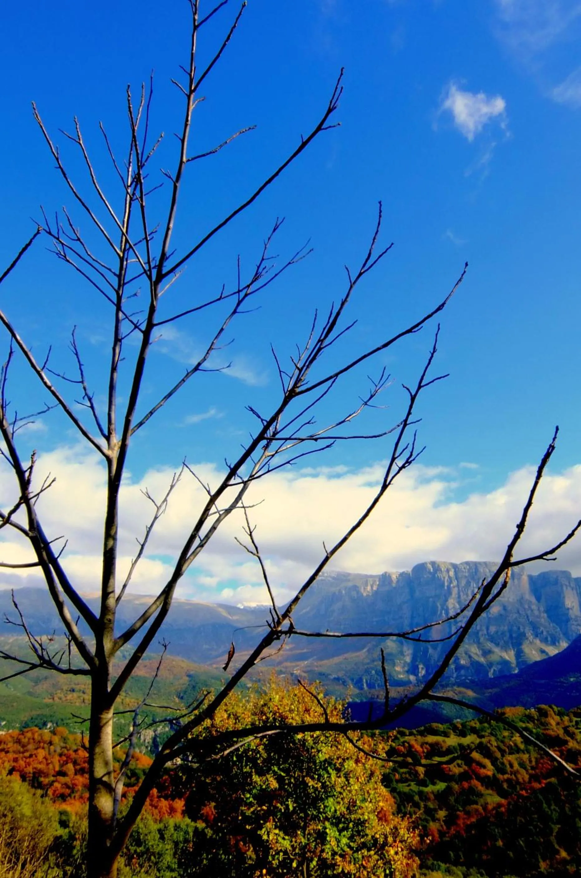 Day in Artsistas Houses