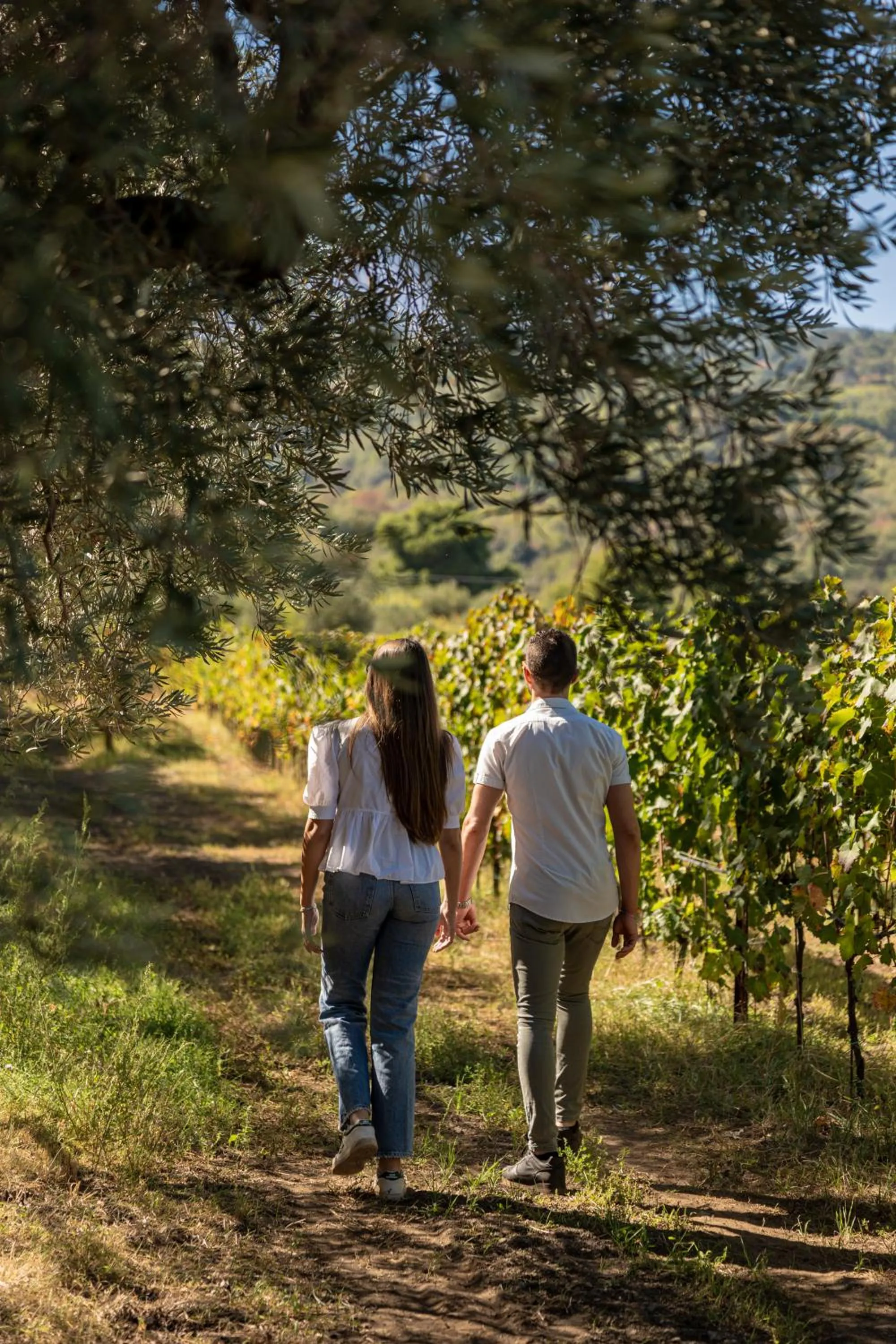 Natural landscape in Villa Neri Resort & Spa