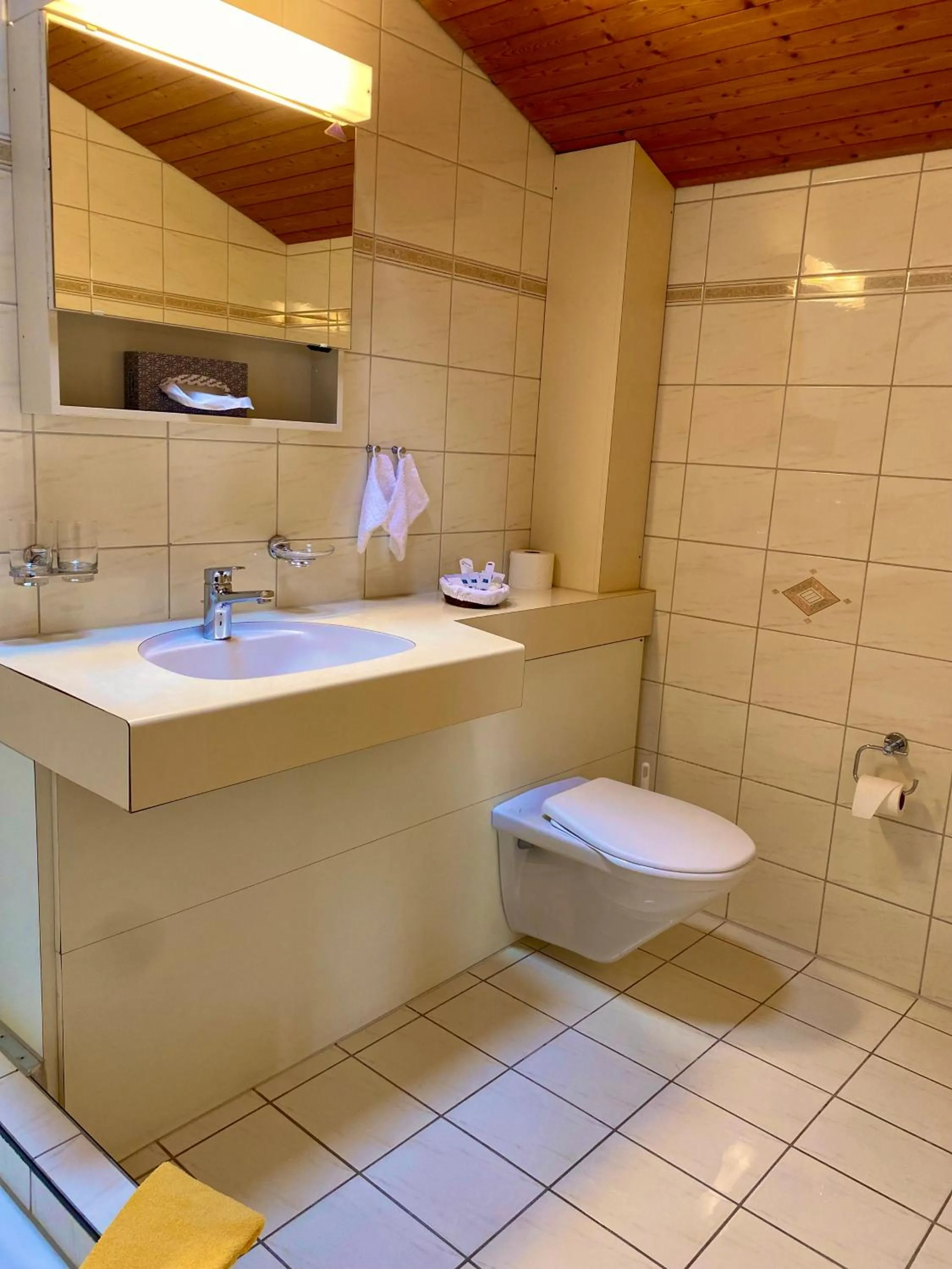 Bathroom in Gasthof zum Roten Löwen