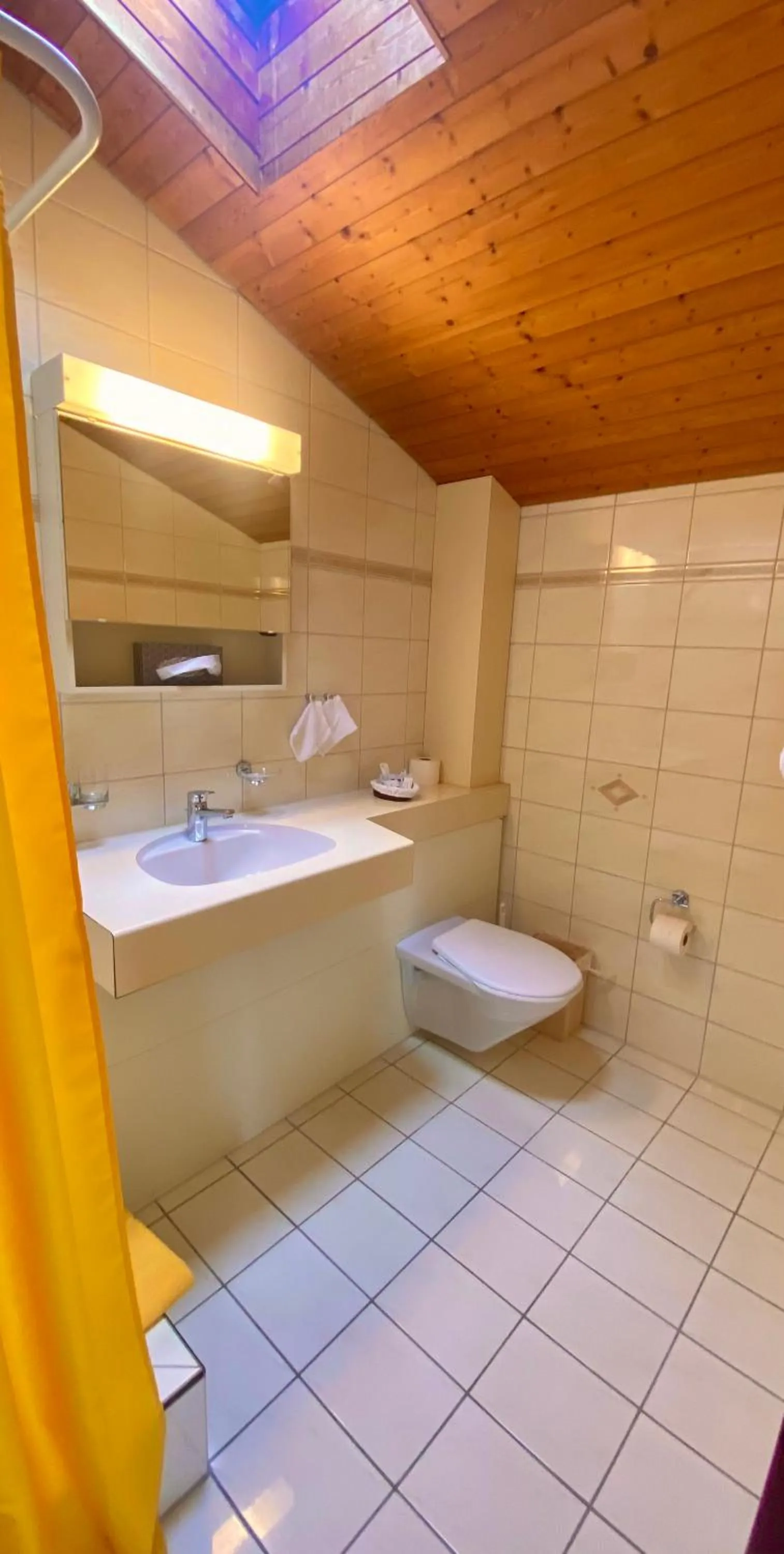 Bathroom in Gasthof zum Roten Löwen