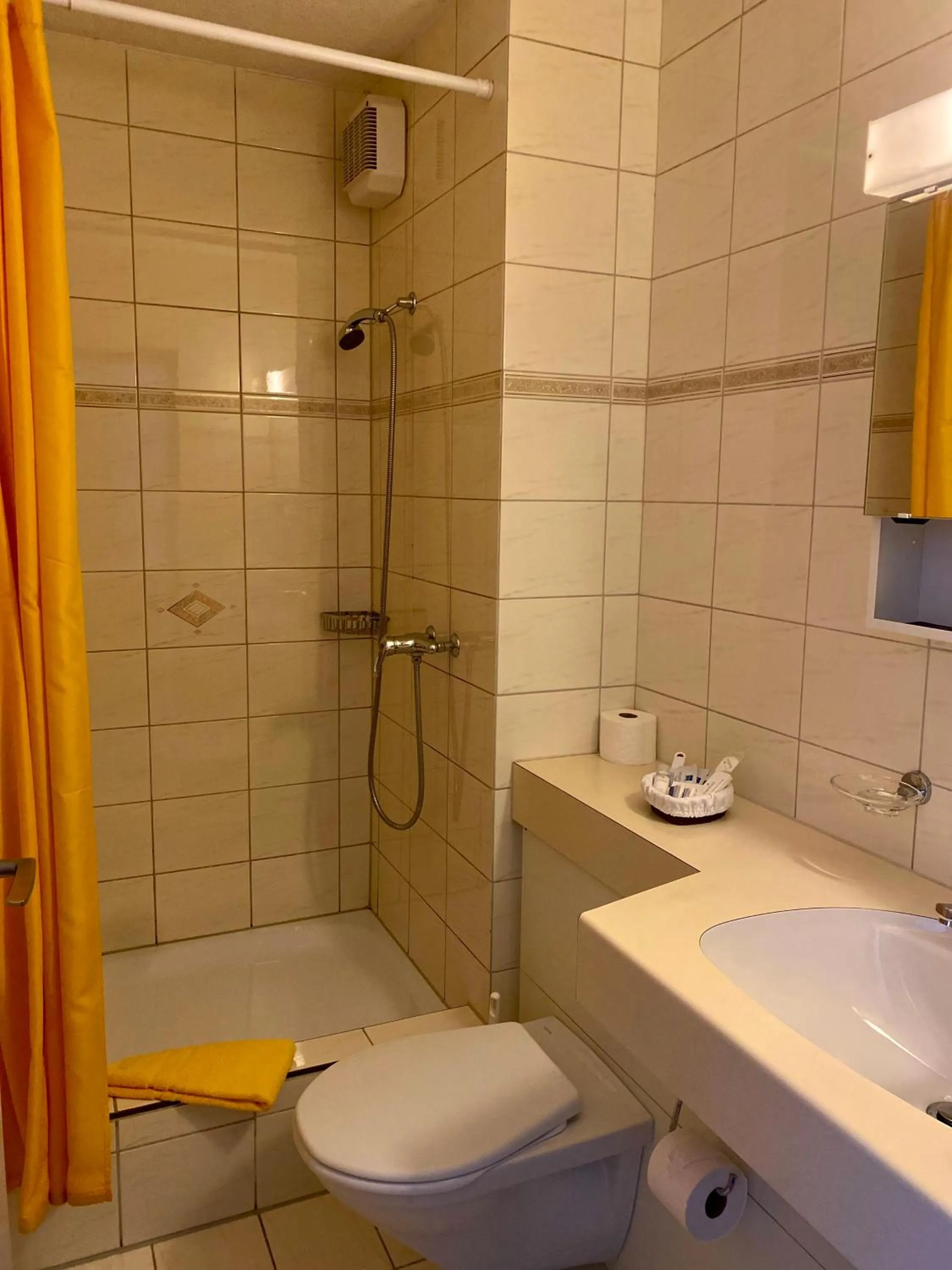 Bathroom in Gasthof zum Roten Löwen