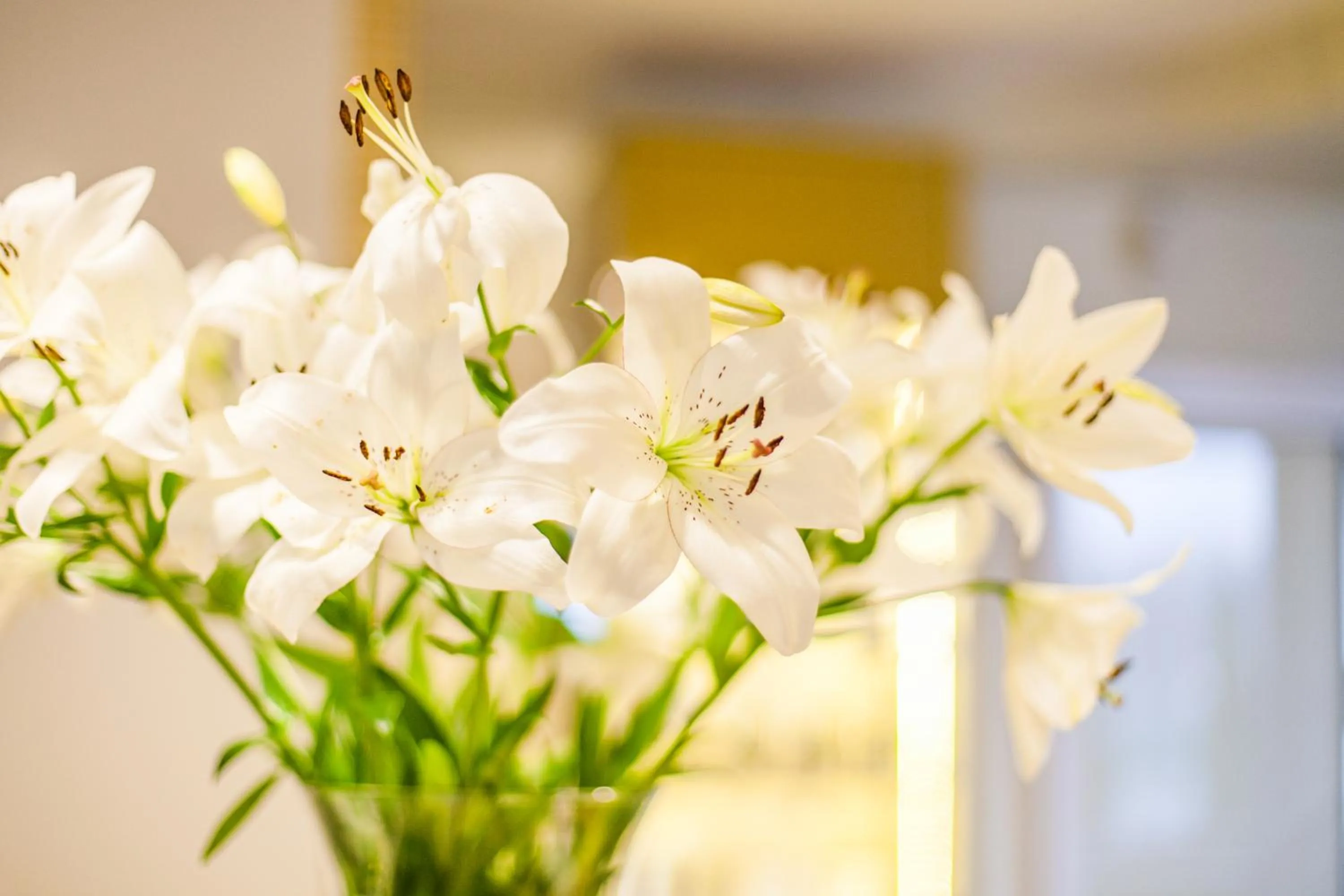 Decorative detail in Hotel Court Wellness&Spa