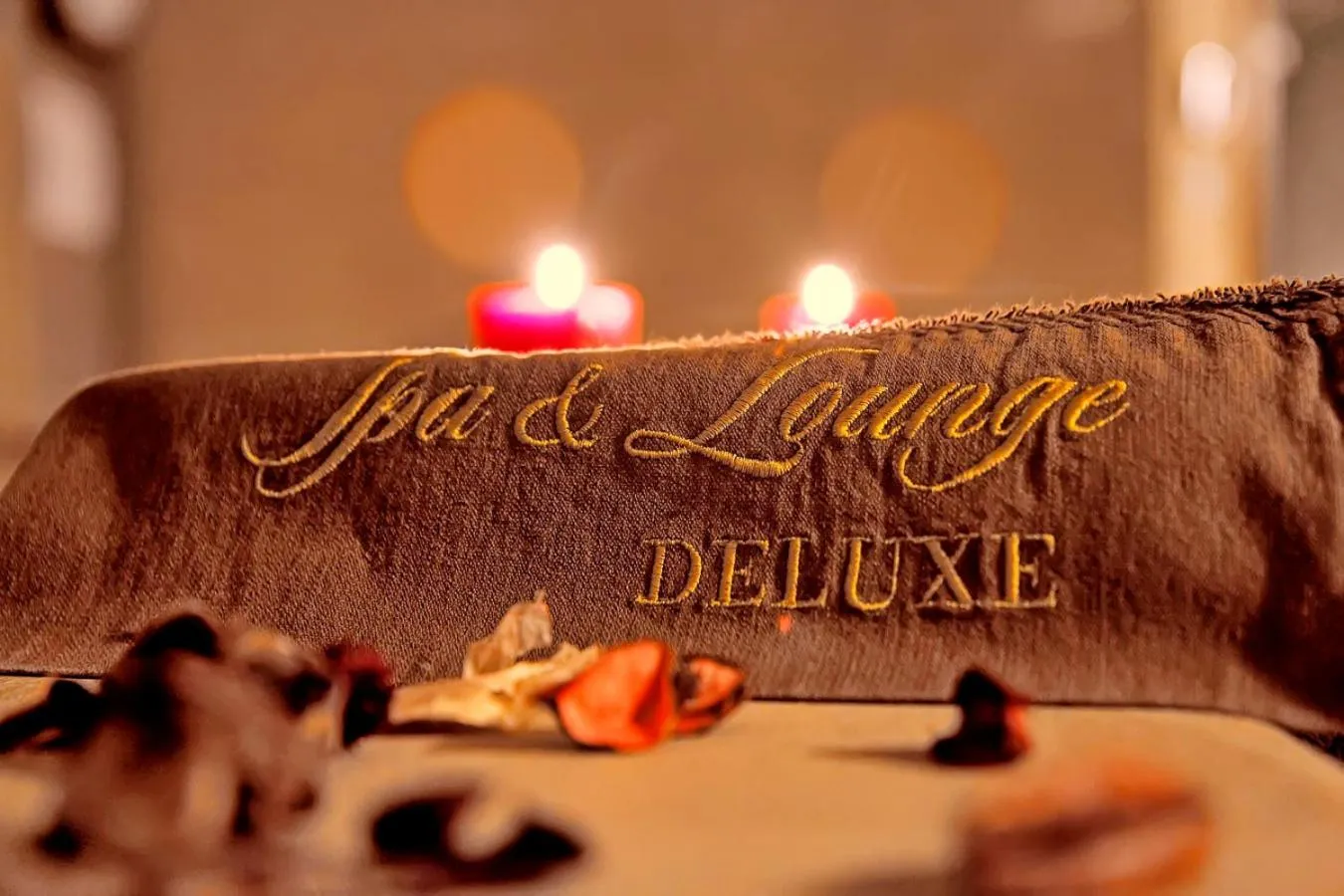 Property logo or sign in Park Hotel Plovdiv