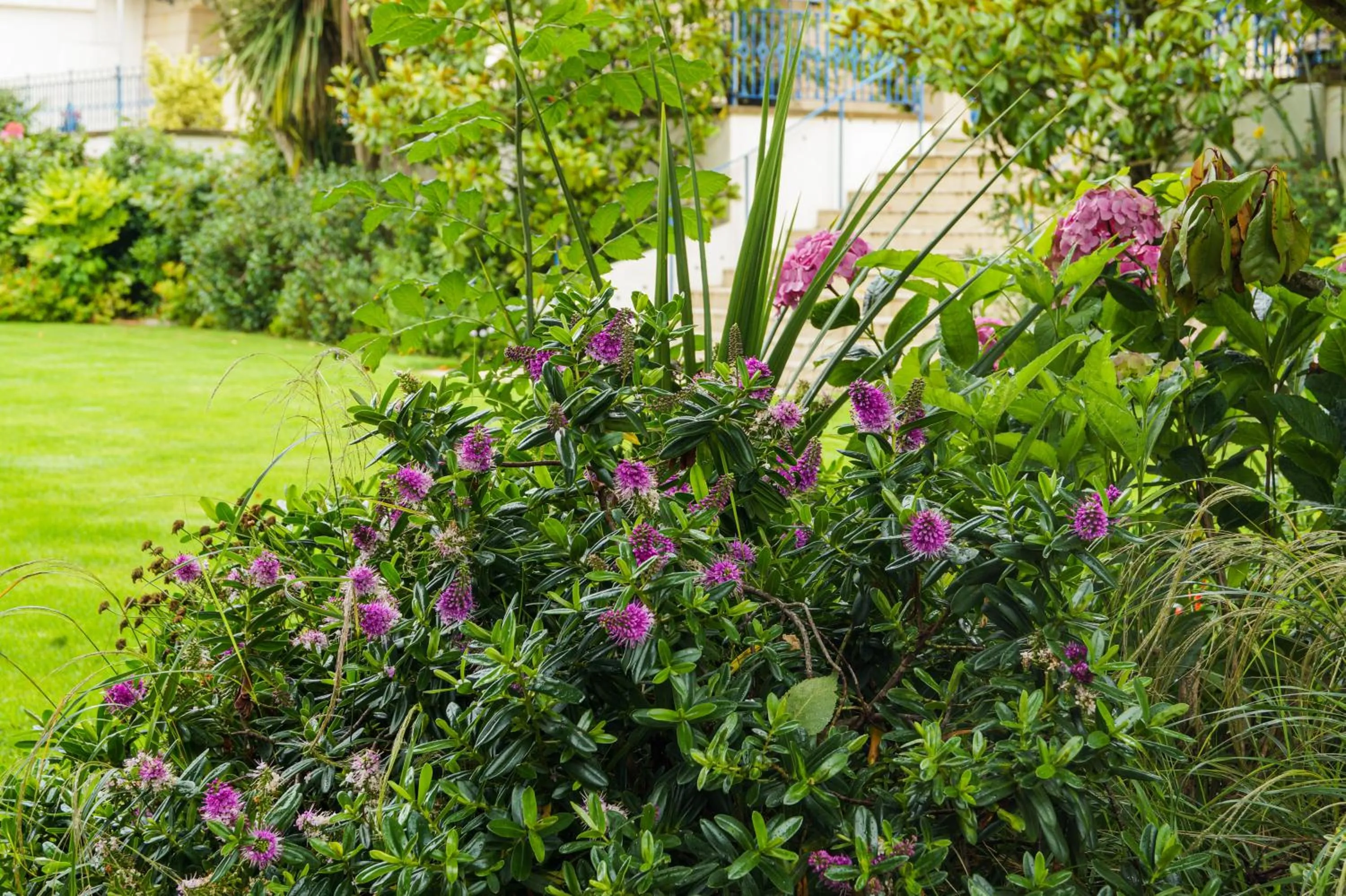 Natural landscape in Hotel de France