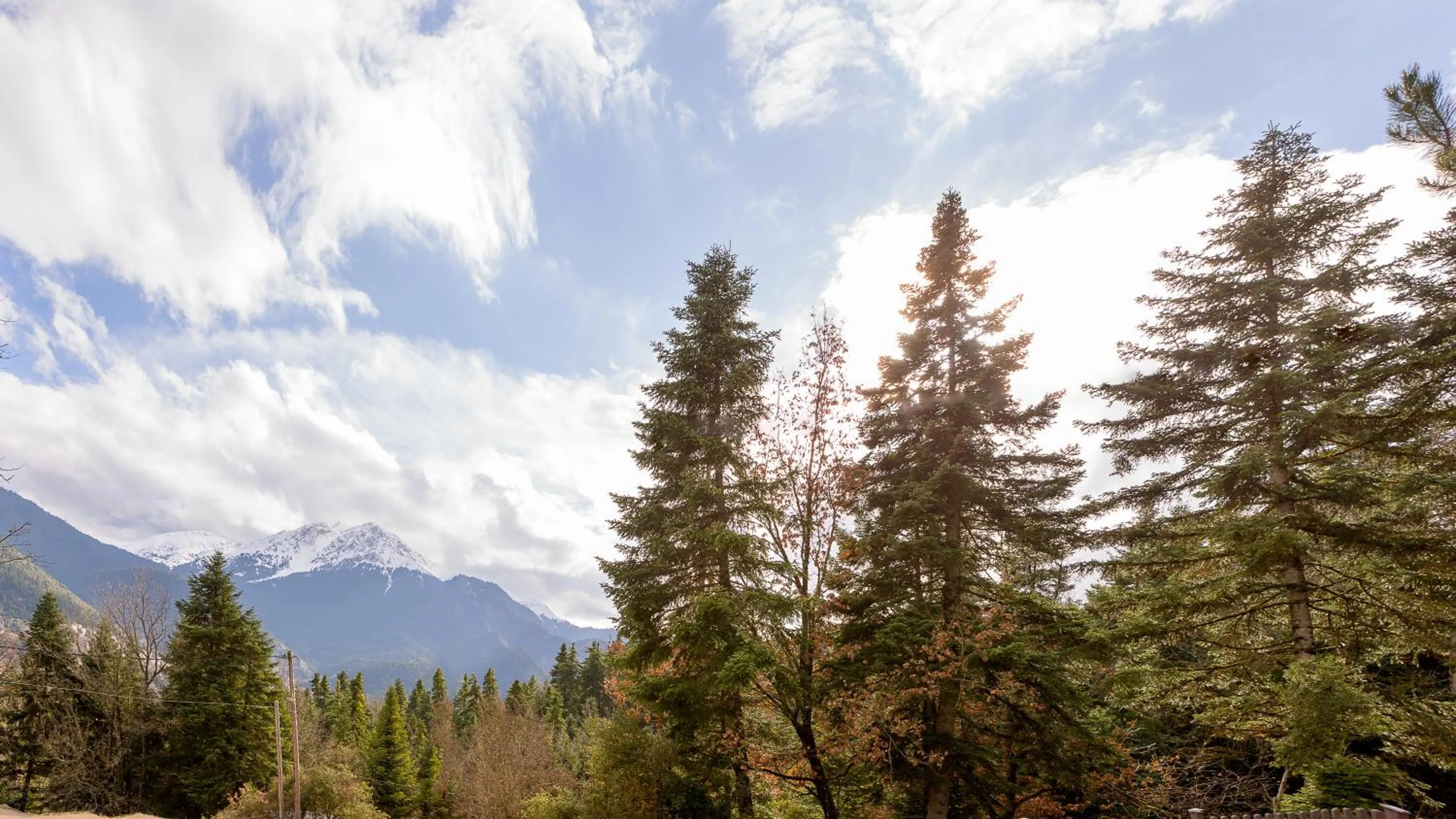 Natural landscape in Country Club Hotel & Suites