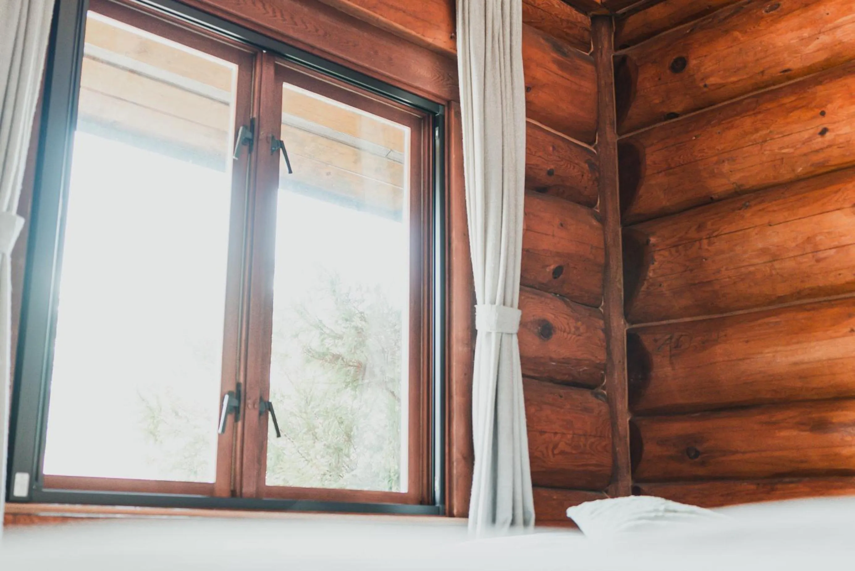 Photo of the whole room, Bed in Hakuba Pension & Log Hotel Meteor