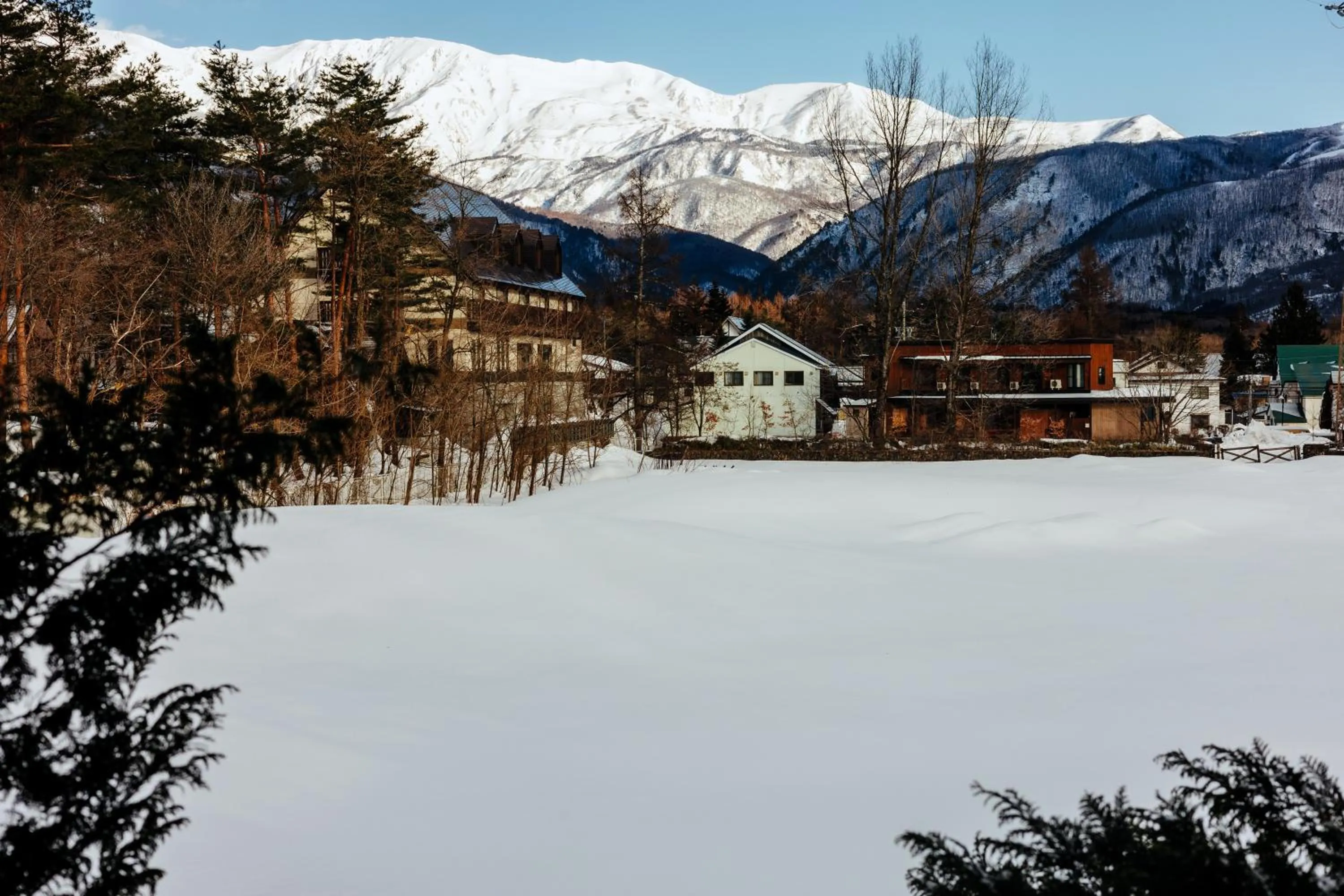View (from property/room) in Hakuba Pension & Log Hotel Meteor