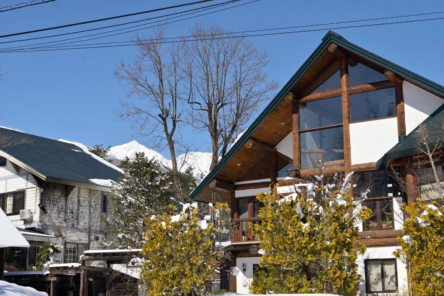 Property building in Hakuba Pension & Log Hotel Meteor