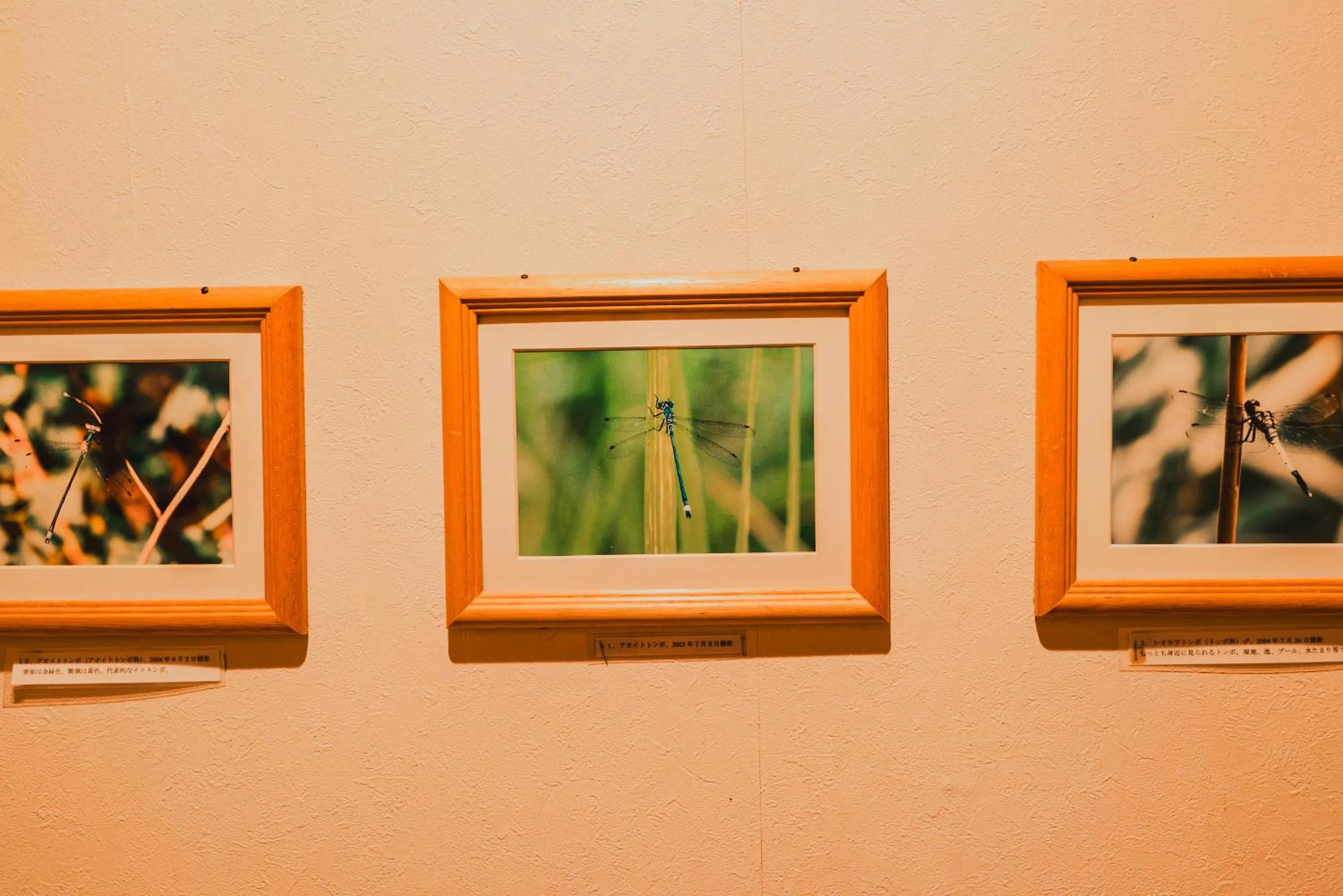 Decorative detail in Hakuba Pension & Log Hotel Meteor