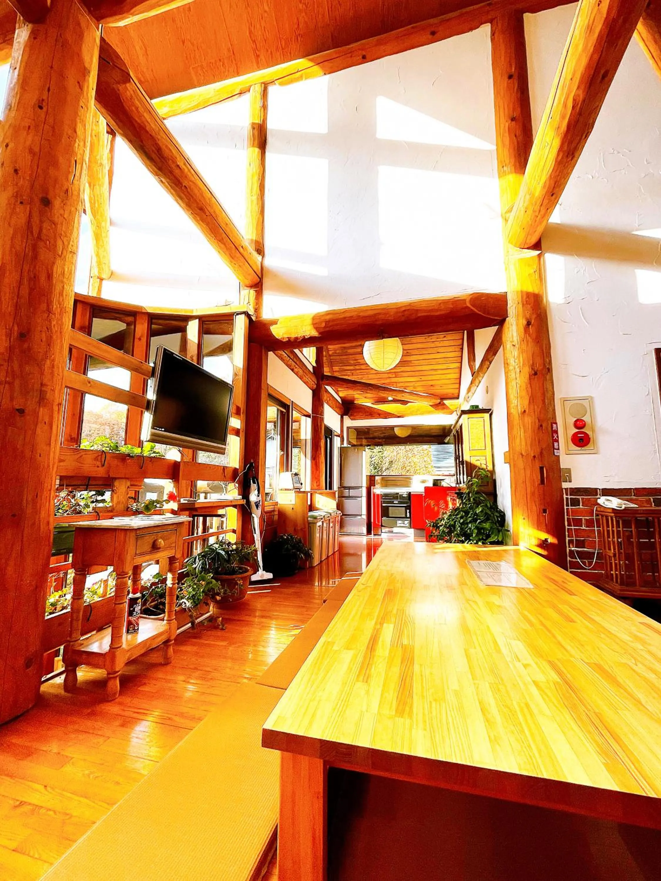 Kitchen or kitchenette in Hakuba Pension & Log Hotel Meteor