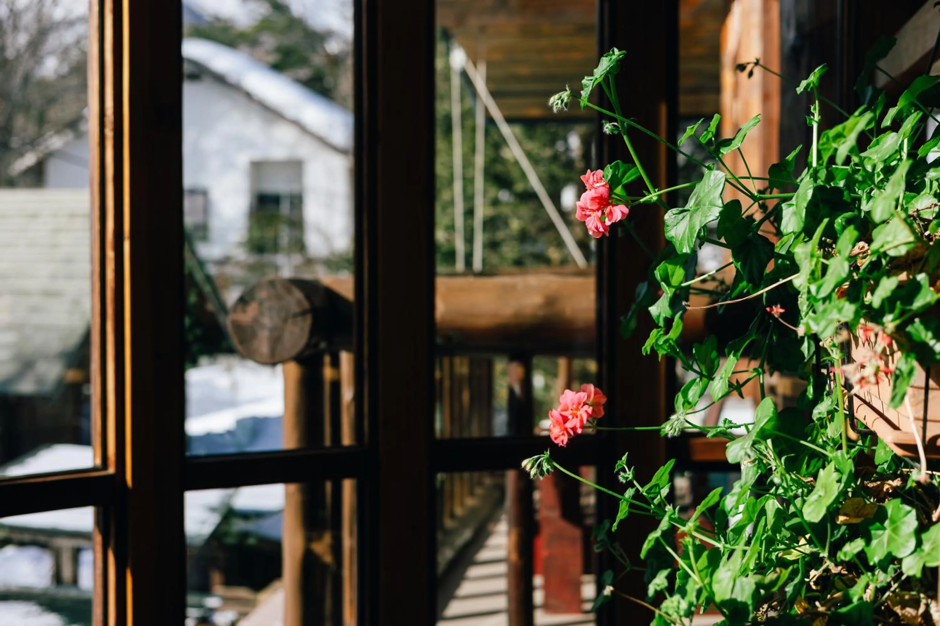 Balcony/Terrace in Hakuba Pension & Log Hotel Meteor
