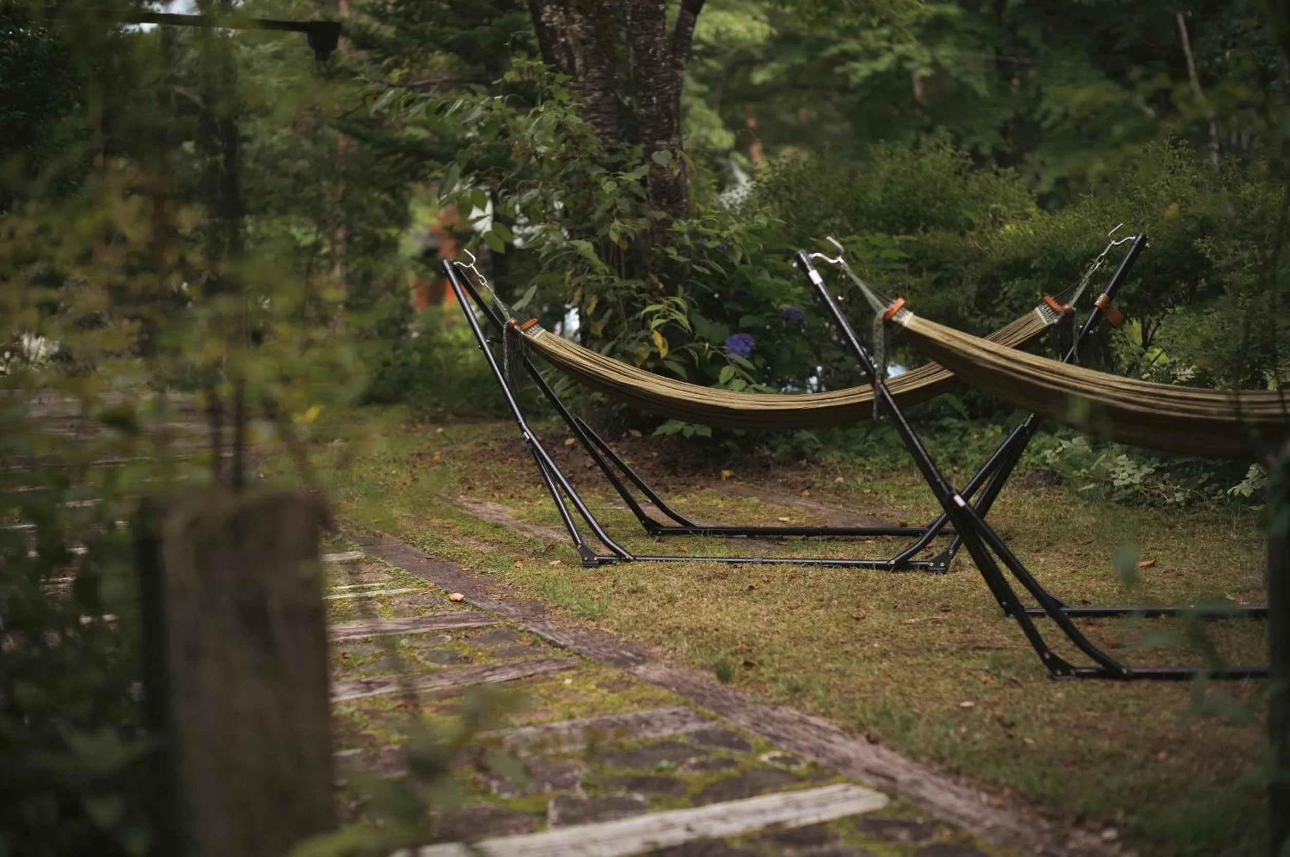 Area and facilities in Hakuba Pension & Log Hotel Meteor