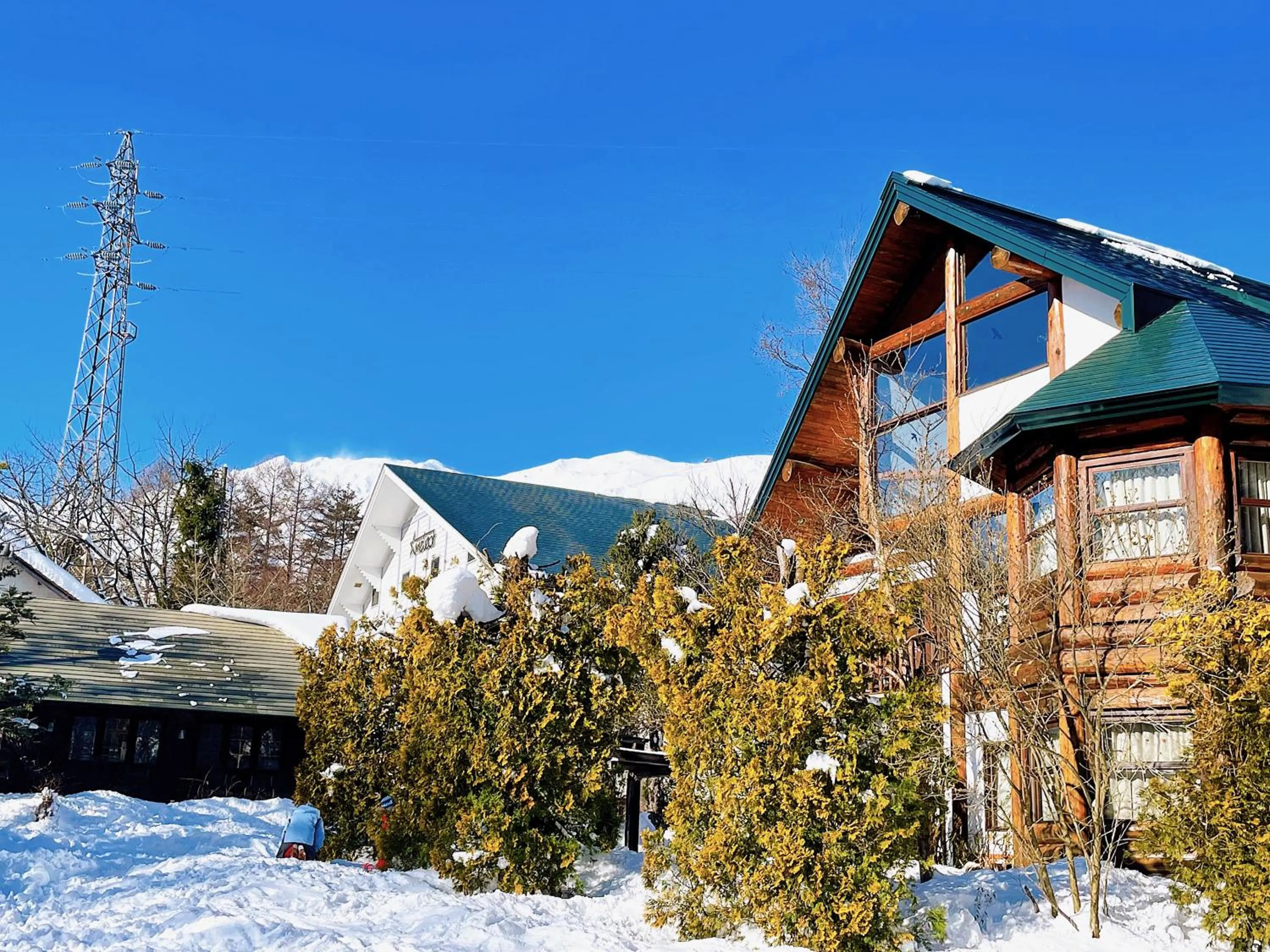 Property building in Hakuba Pension & Log Hotel Meteor