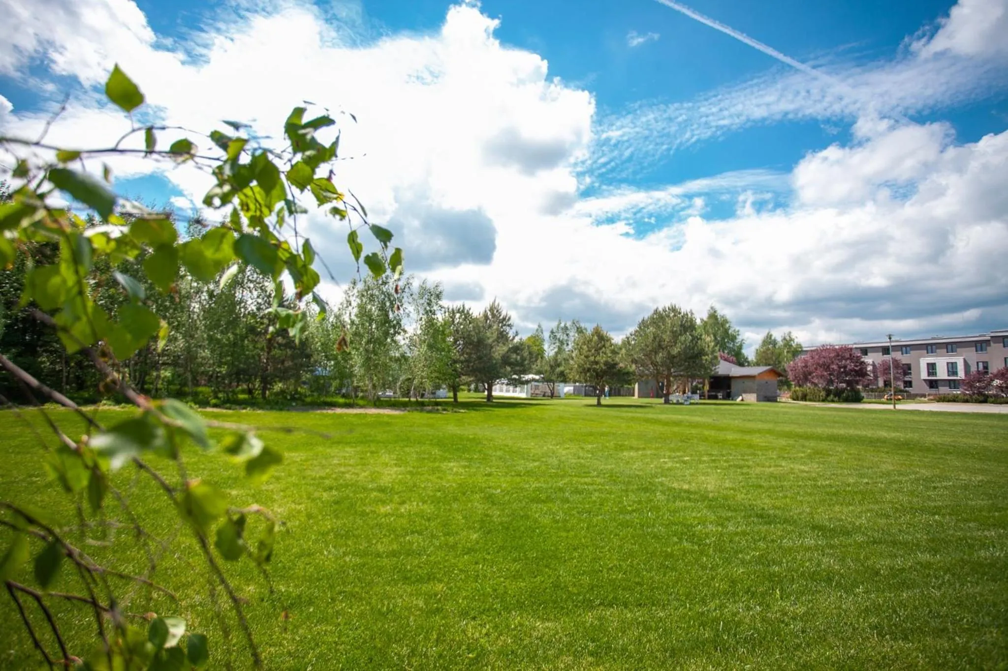 Garden in Artis Loft Hotel