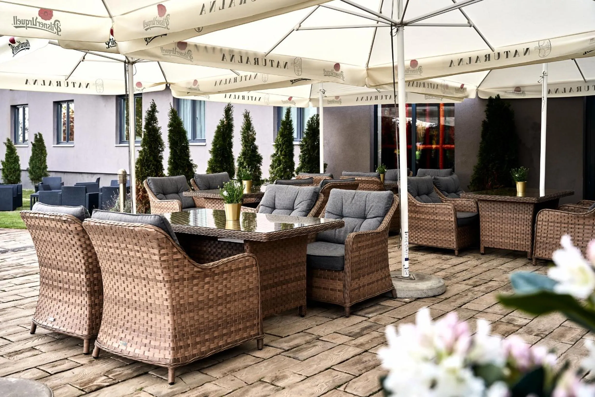 Restaurant/places to eat in Artis Loft Hotel