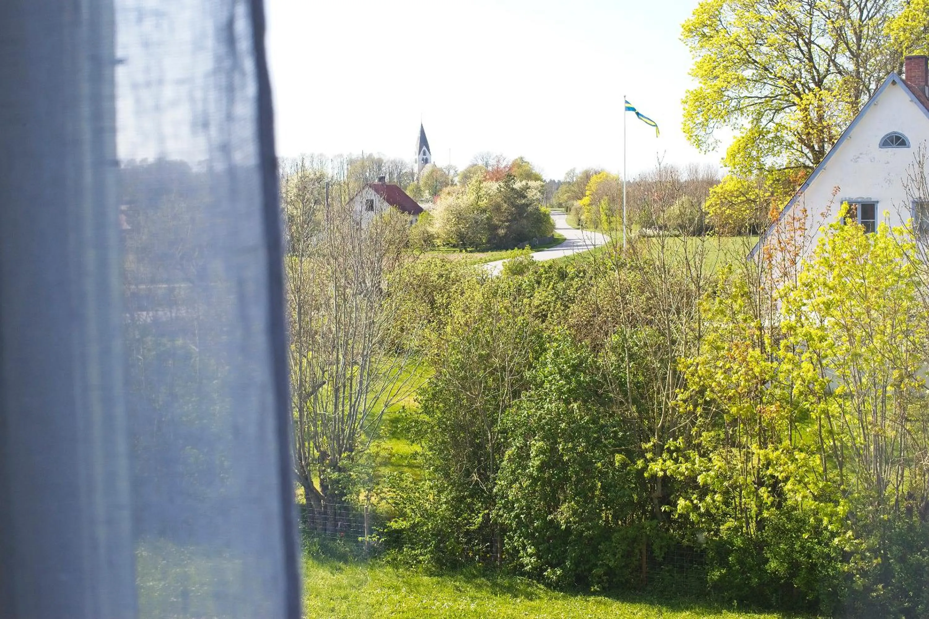 Garden view in Three Pheasants Boutique Bed and Breakfast