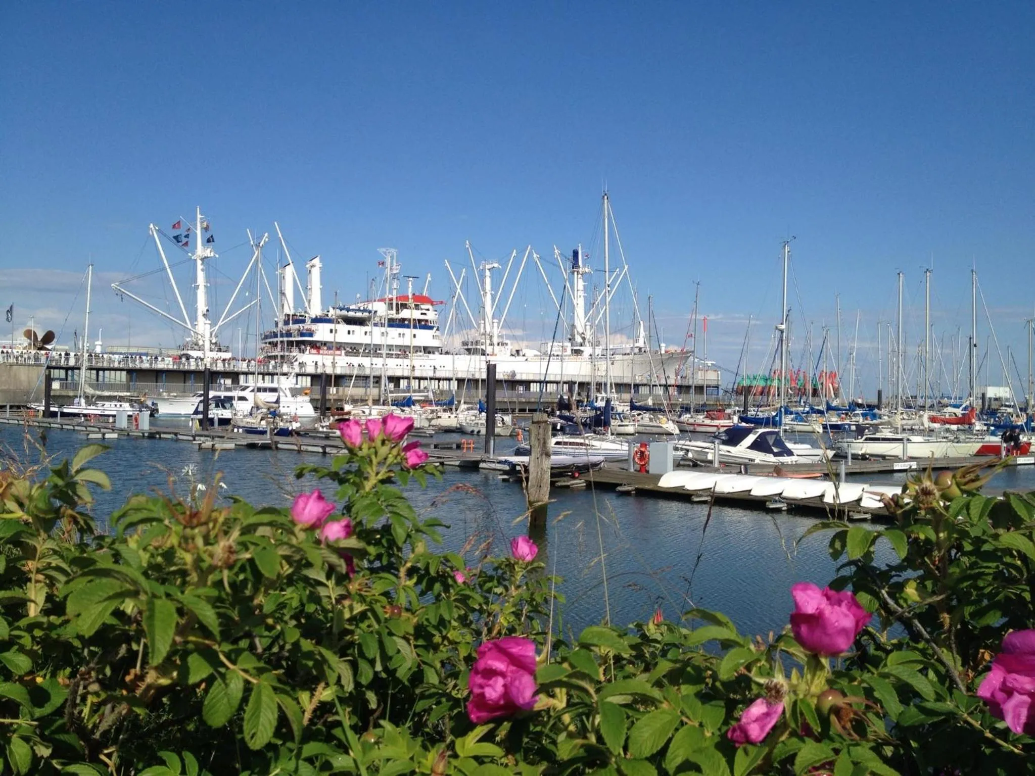 Area and facilities in Moin Hotel Cuxhaven