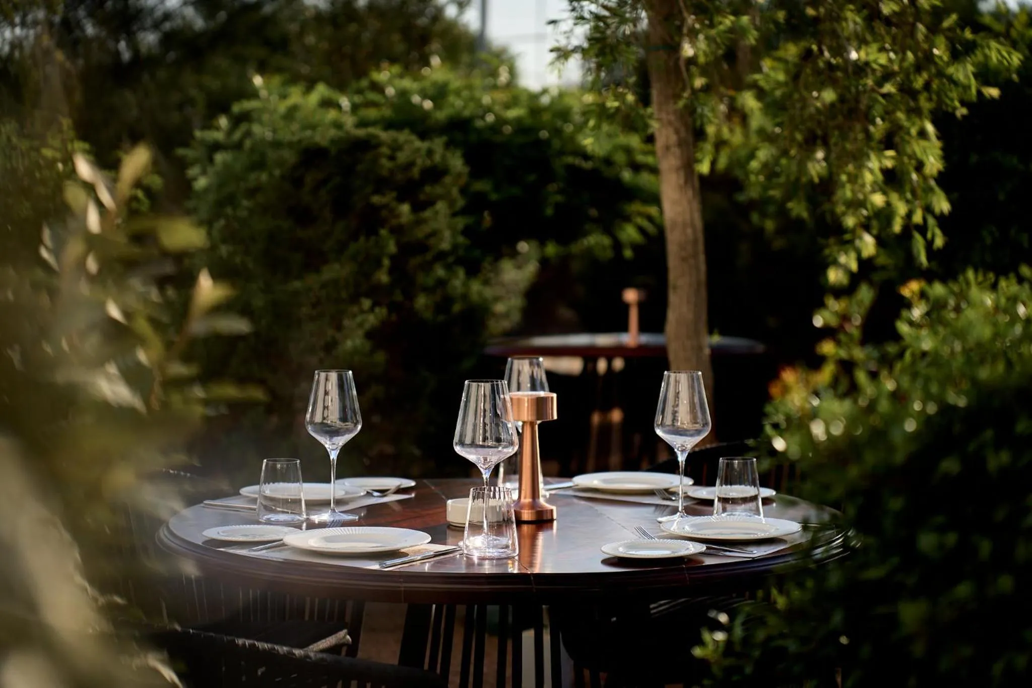 Food and drinks in Hotel Napa Suites (Adults Only)