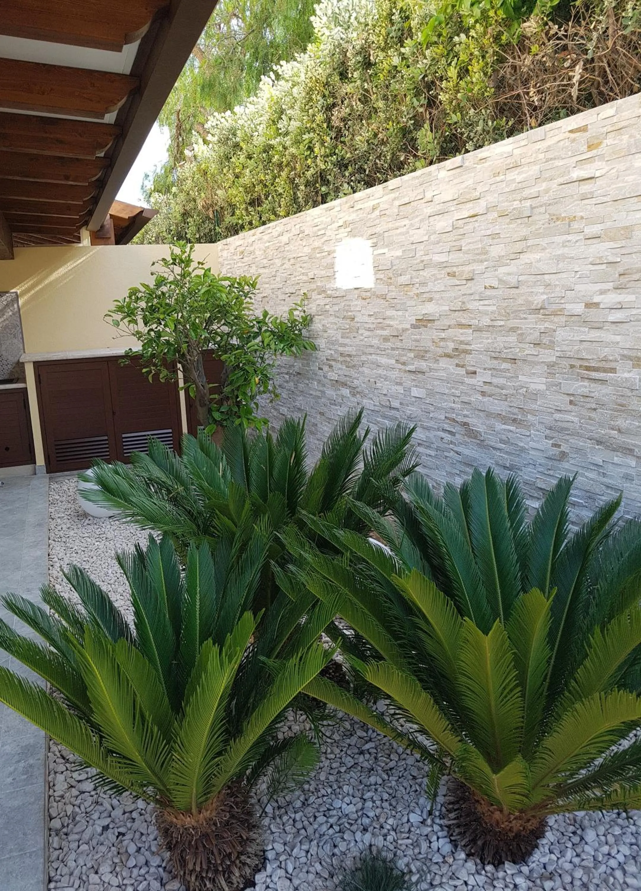 Garden in B&B Aloe Comfort Rooms