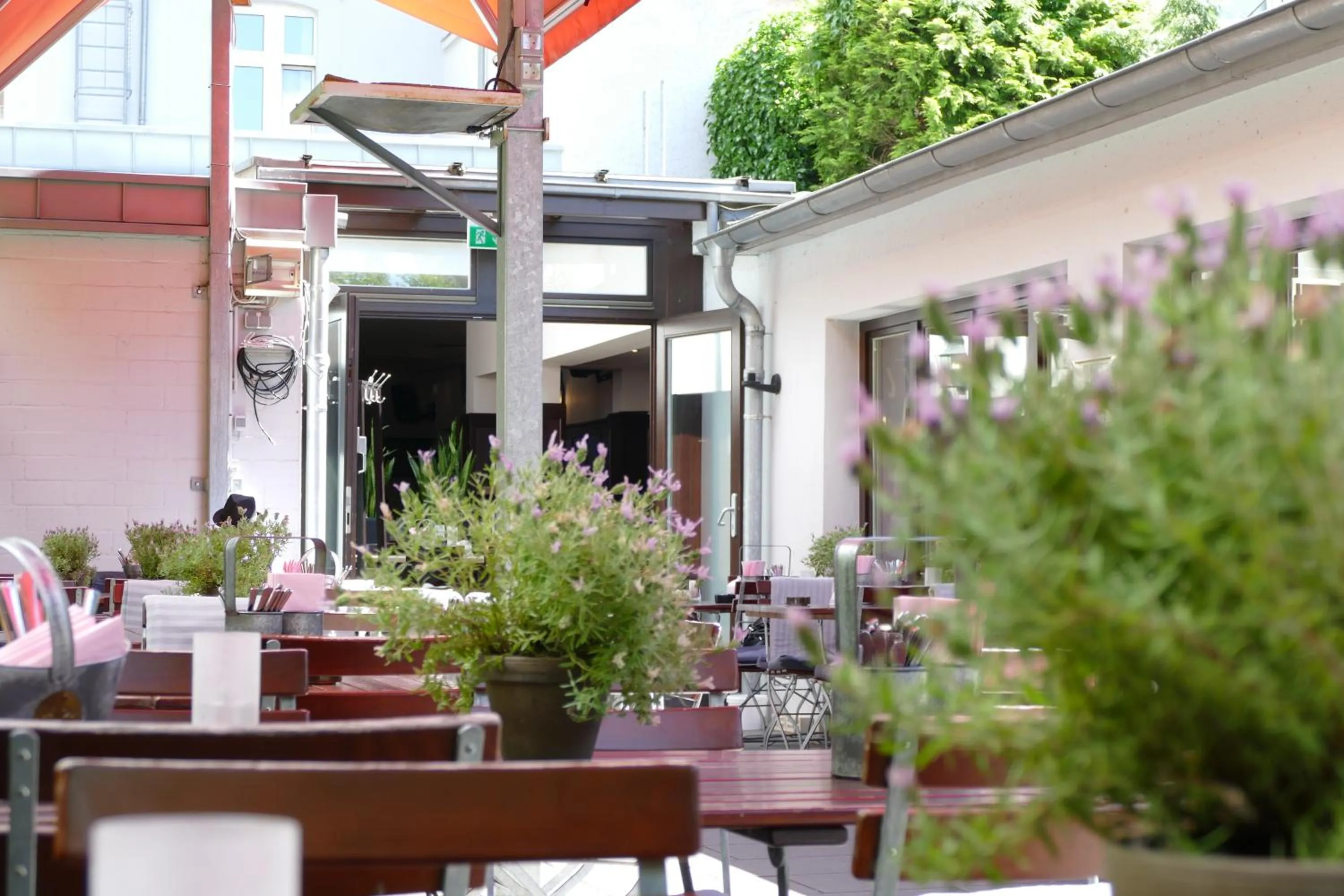 Property building in DAS Steeps Ihr Brauhaus und Hotel