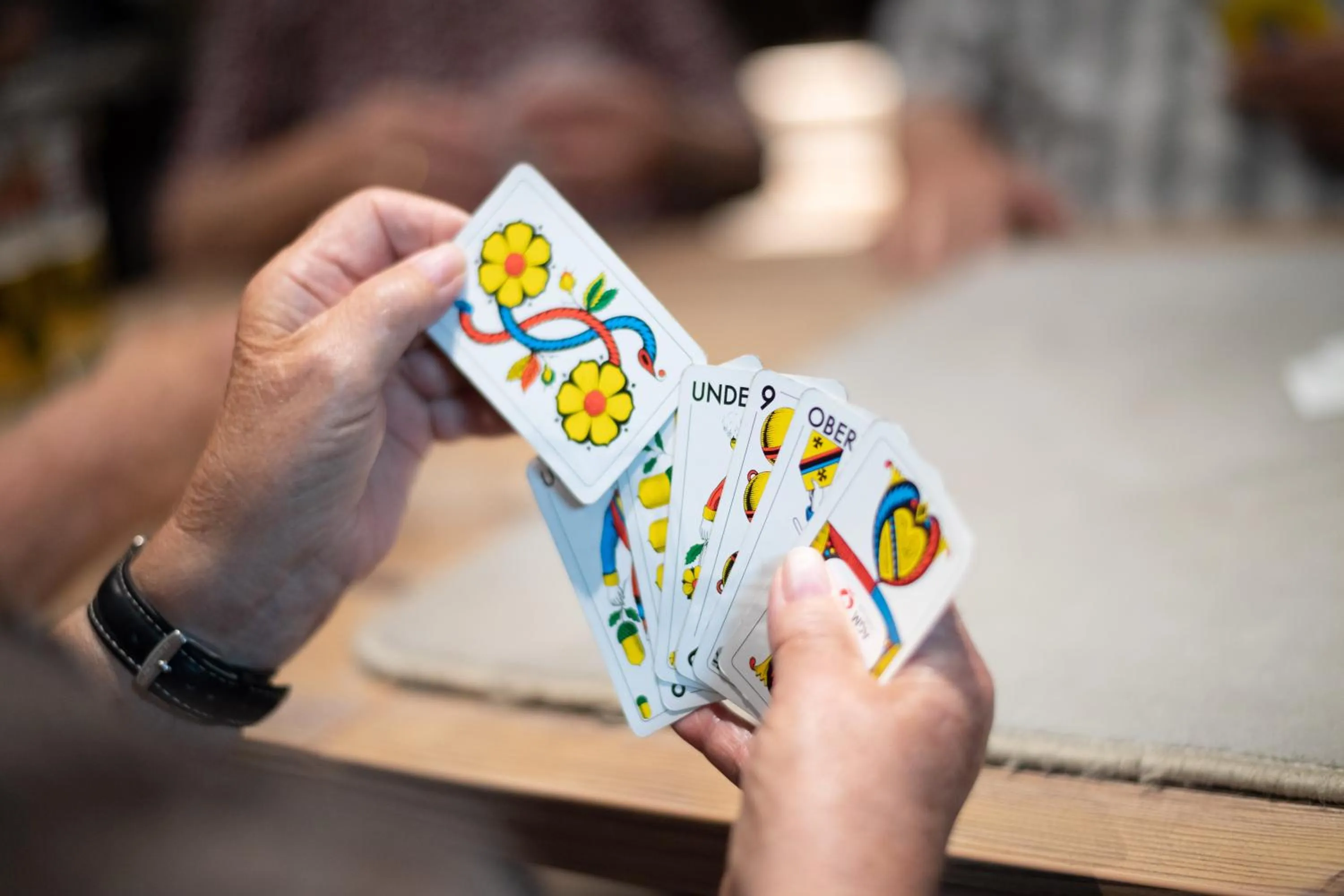 Entertainment in Hotel Gerig