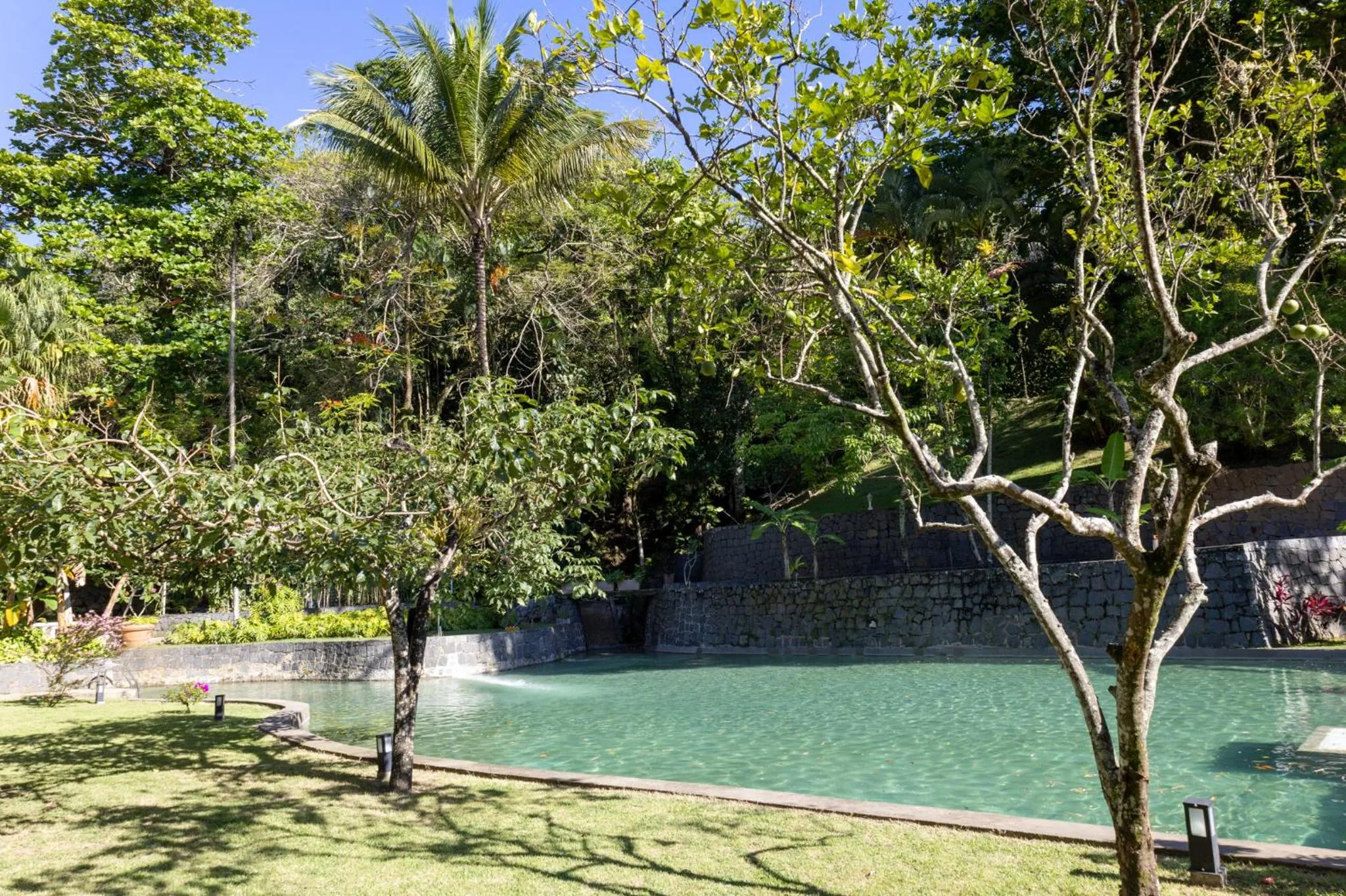 Garden view in Hotel Mercedes