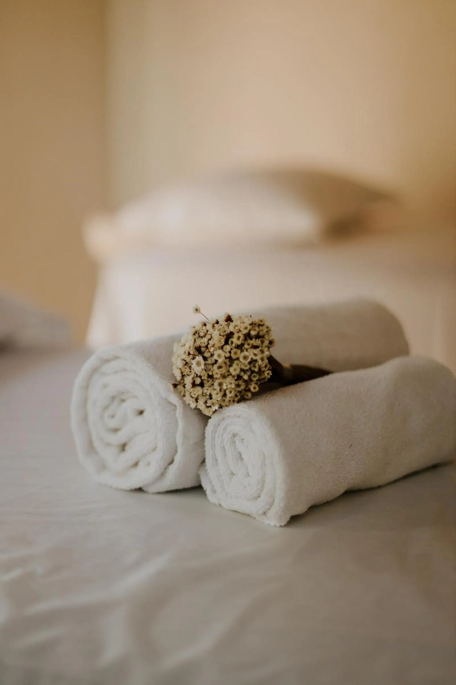 Spa and wellness centre/facilities, Bed in Hotel Mercedes