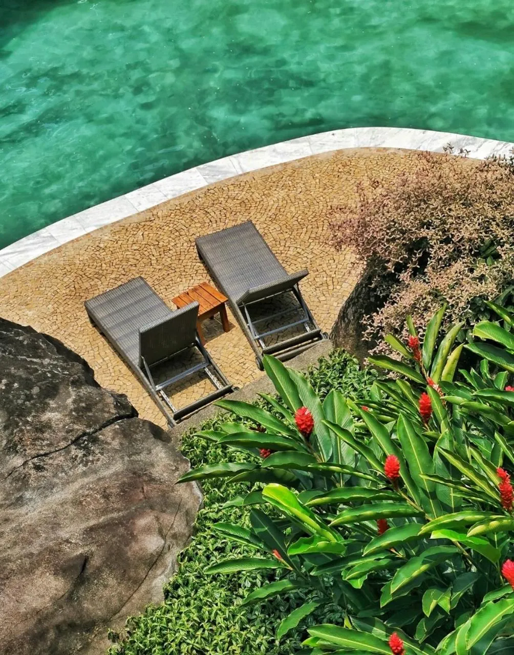 Garden in Hotel Mercedes