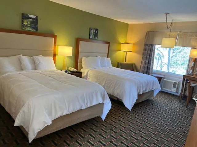 Bed in Arbor Inn Motor Lodge - Weymouth