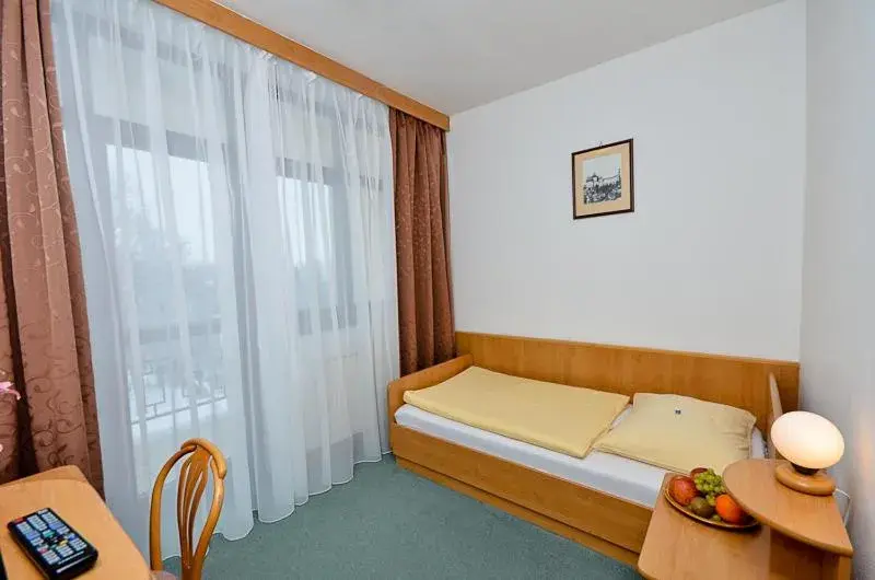 Single Room - single occupancy in Hotel Kotyza Single Room - single occupancy in Hotel Kotyza