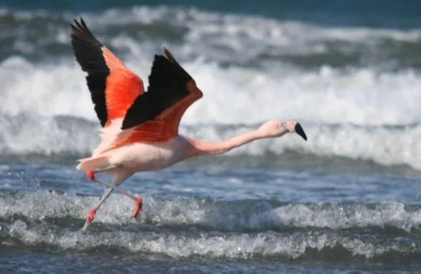 Area and facilities in Del Nomade Hosteria Ecologica