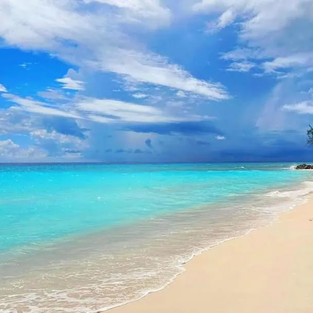 Beach in Blue Horizon Hotel