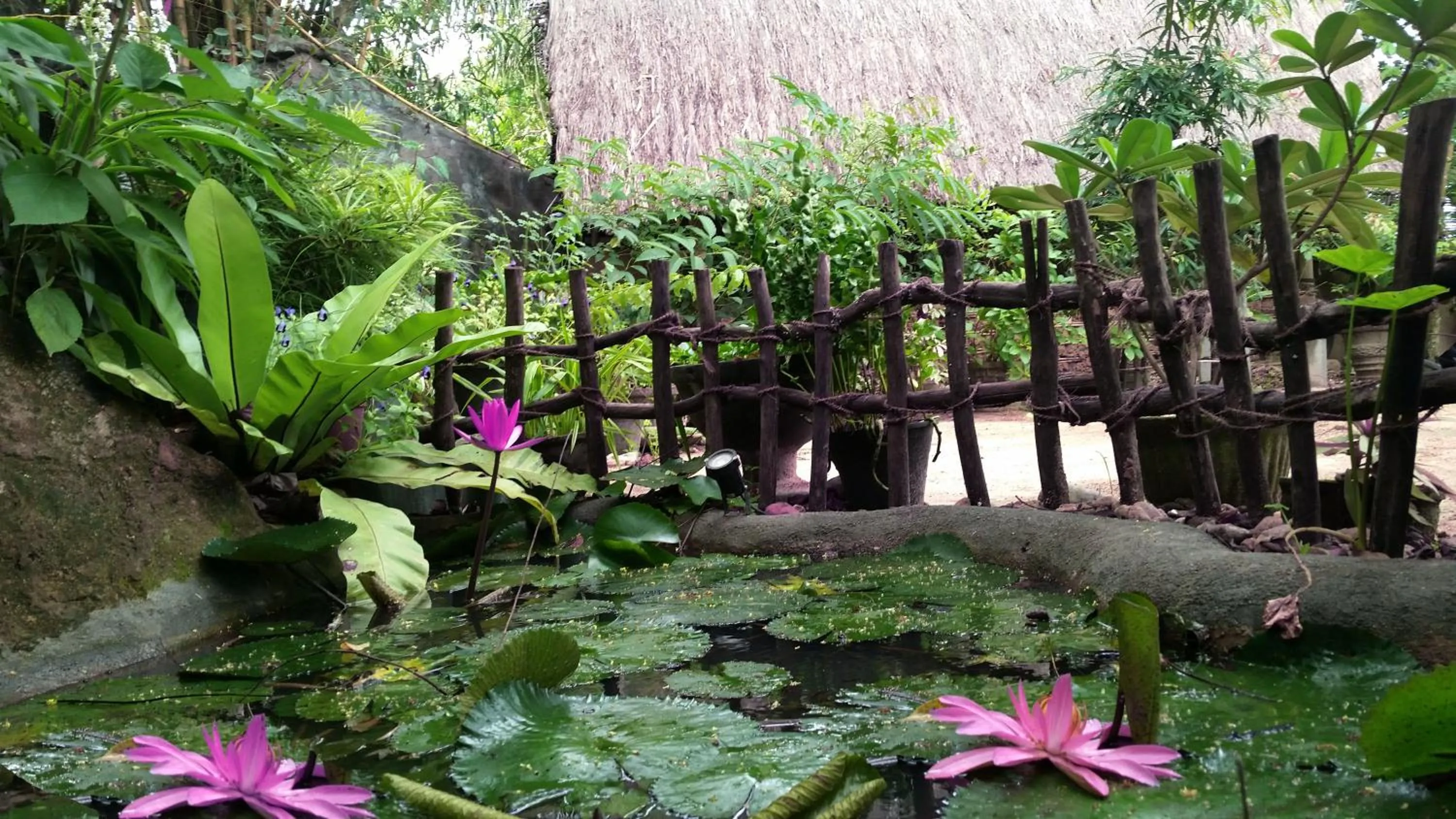 Spa and wellness centre/facilities in Ridee Villa