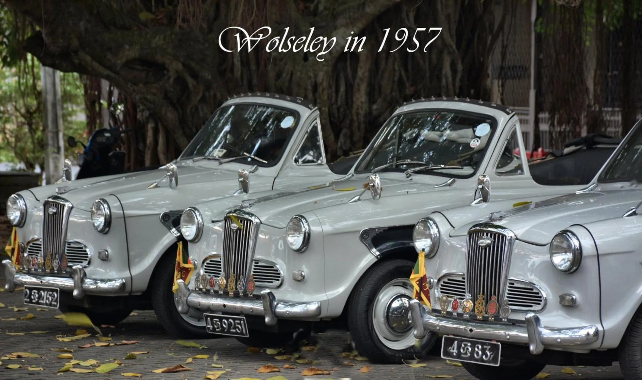 Evening entertainment in Ridee Villa