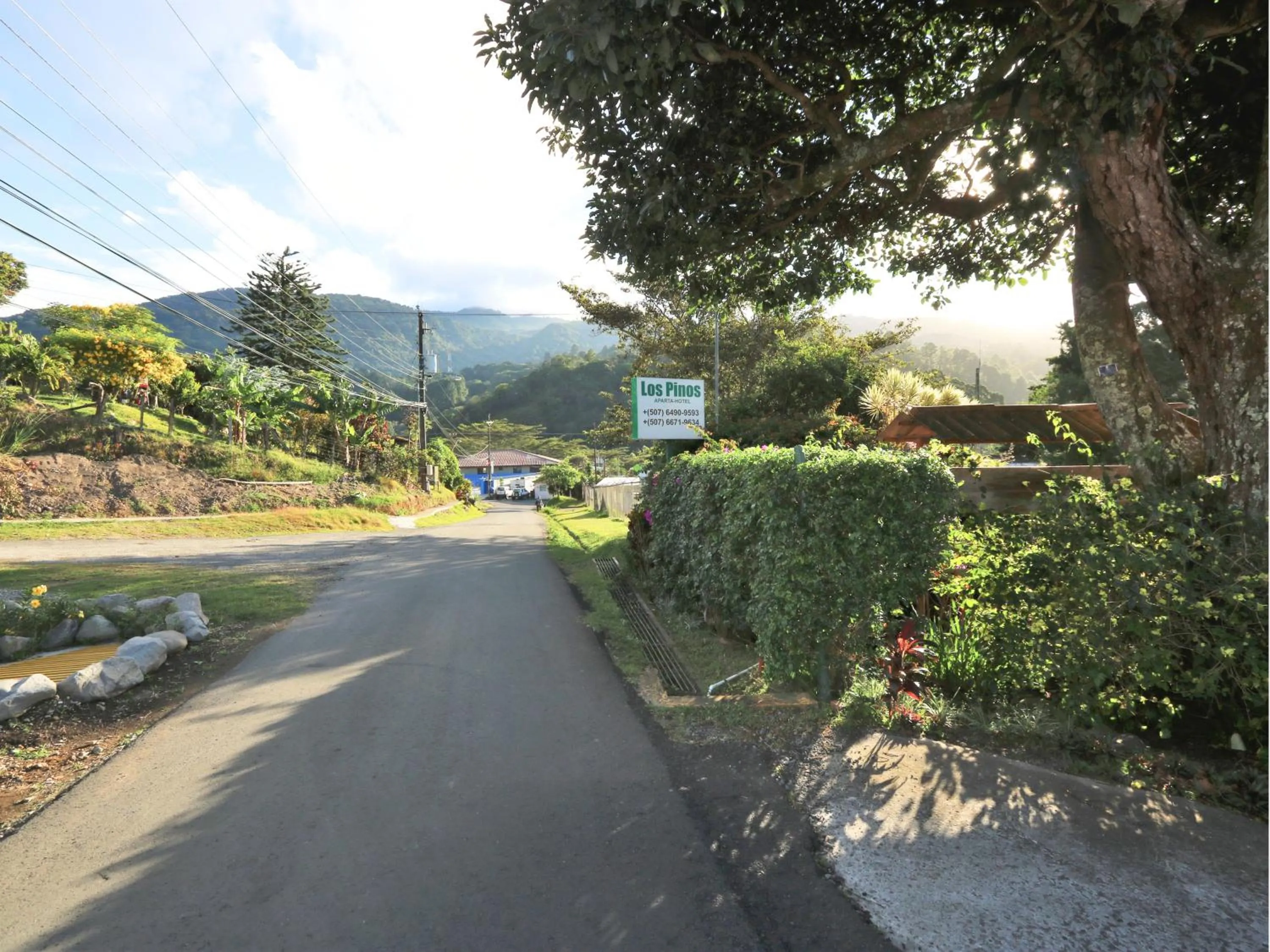 Street view in Aparthotel Los Pinos
