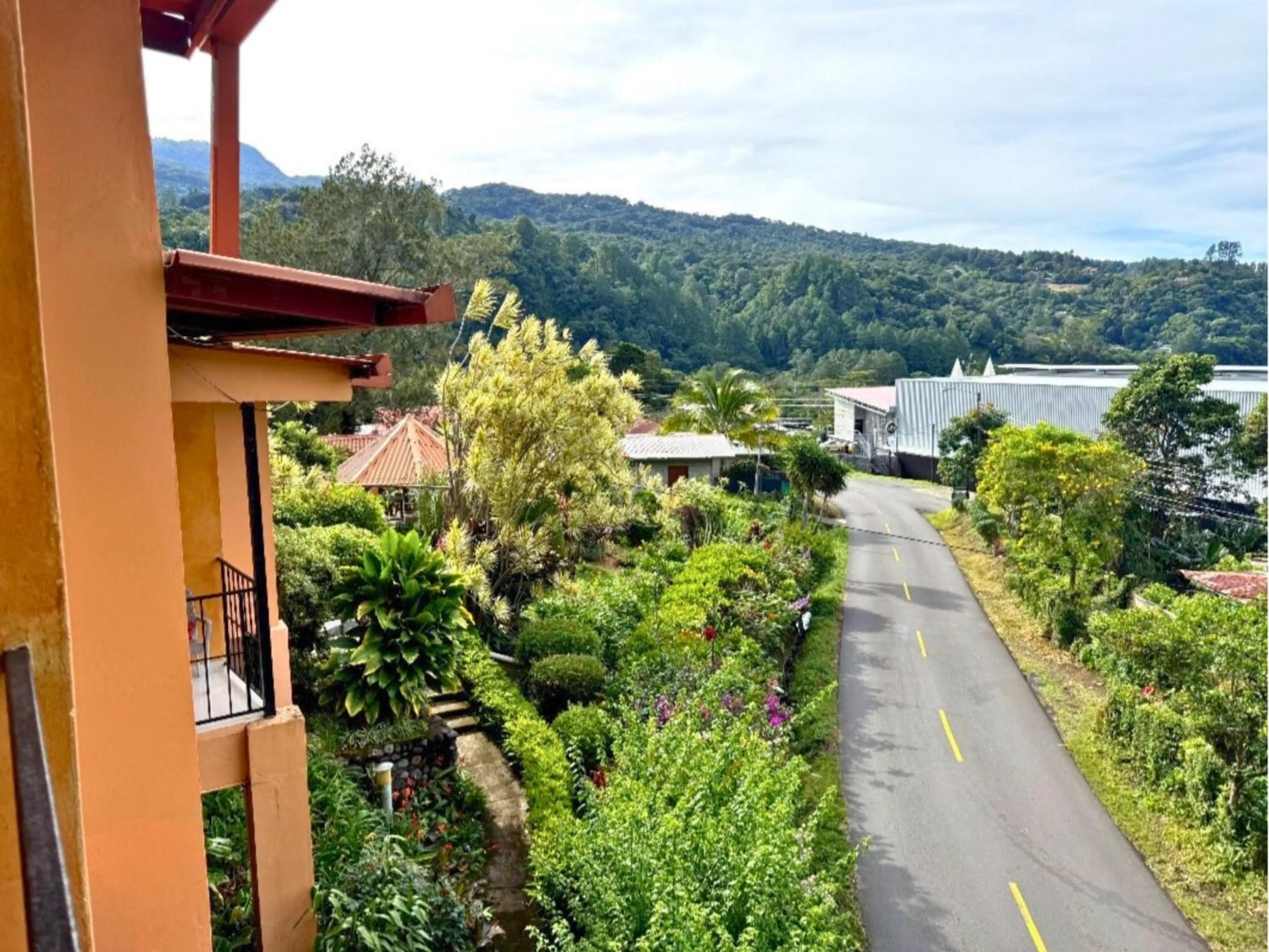 Mountain view in Aparthotel Los Pinos