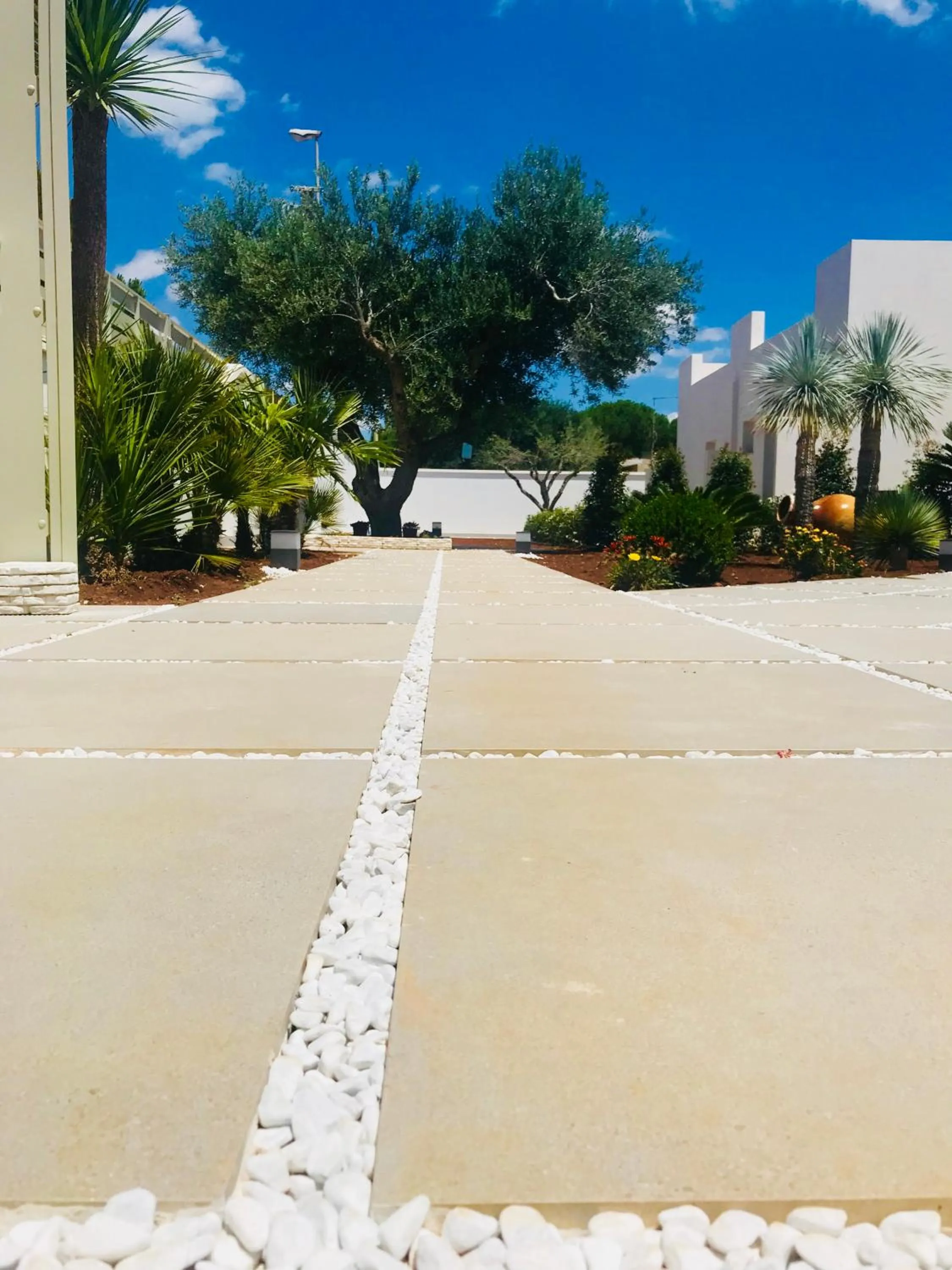 Garden in Hotel Belsito