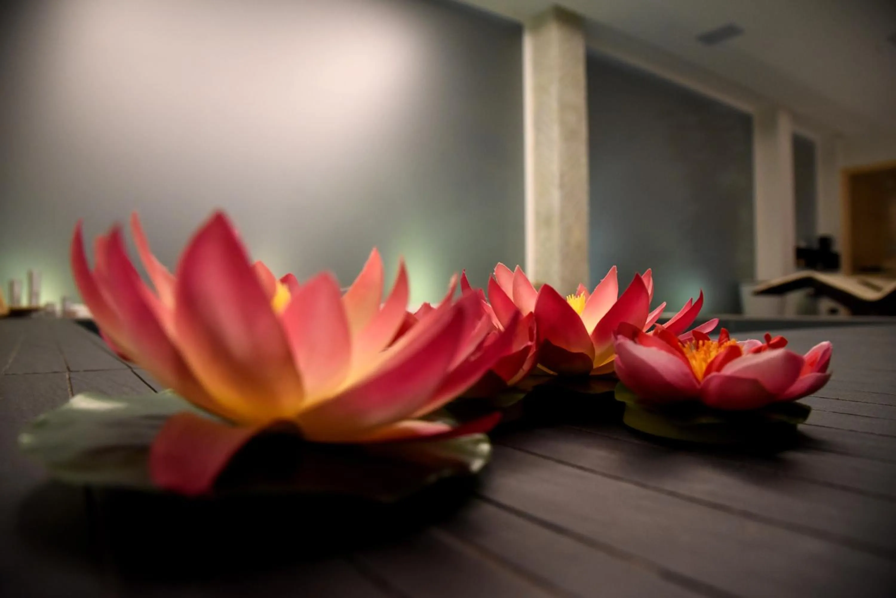 Spa and wellness centre/facilities in Hotel Belsito