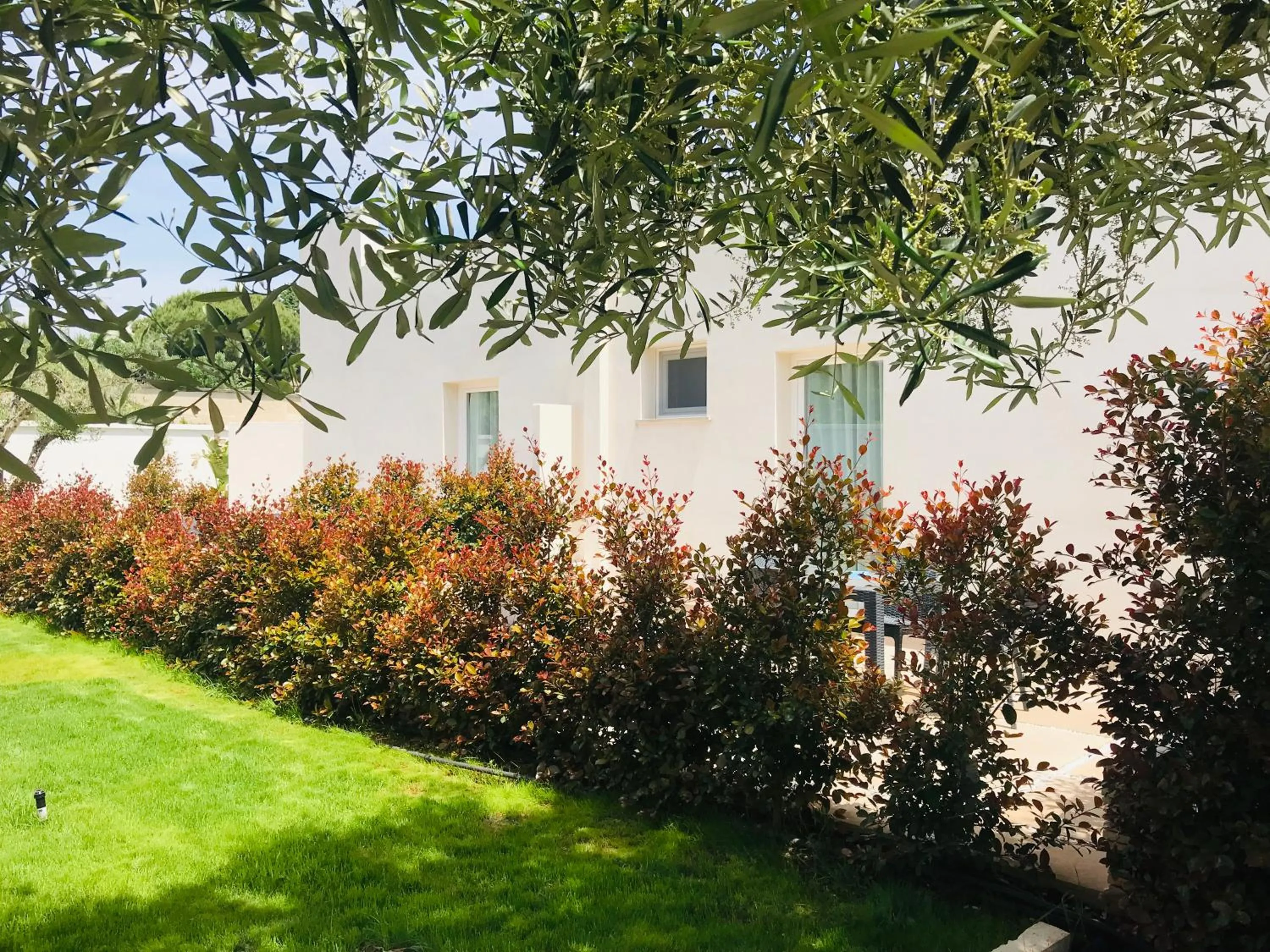 Garden in Hotel Belsito