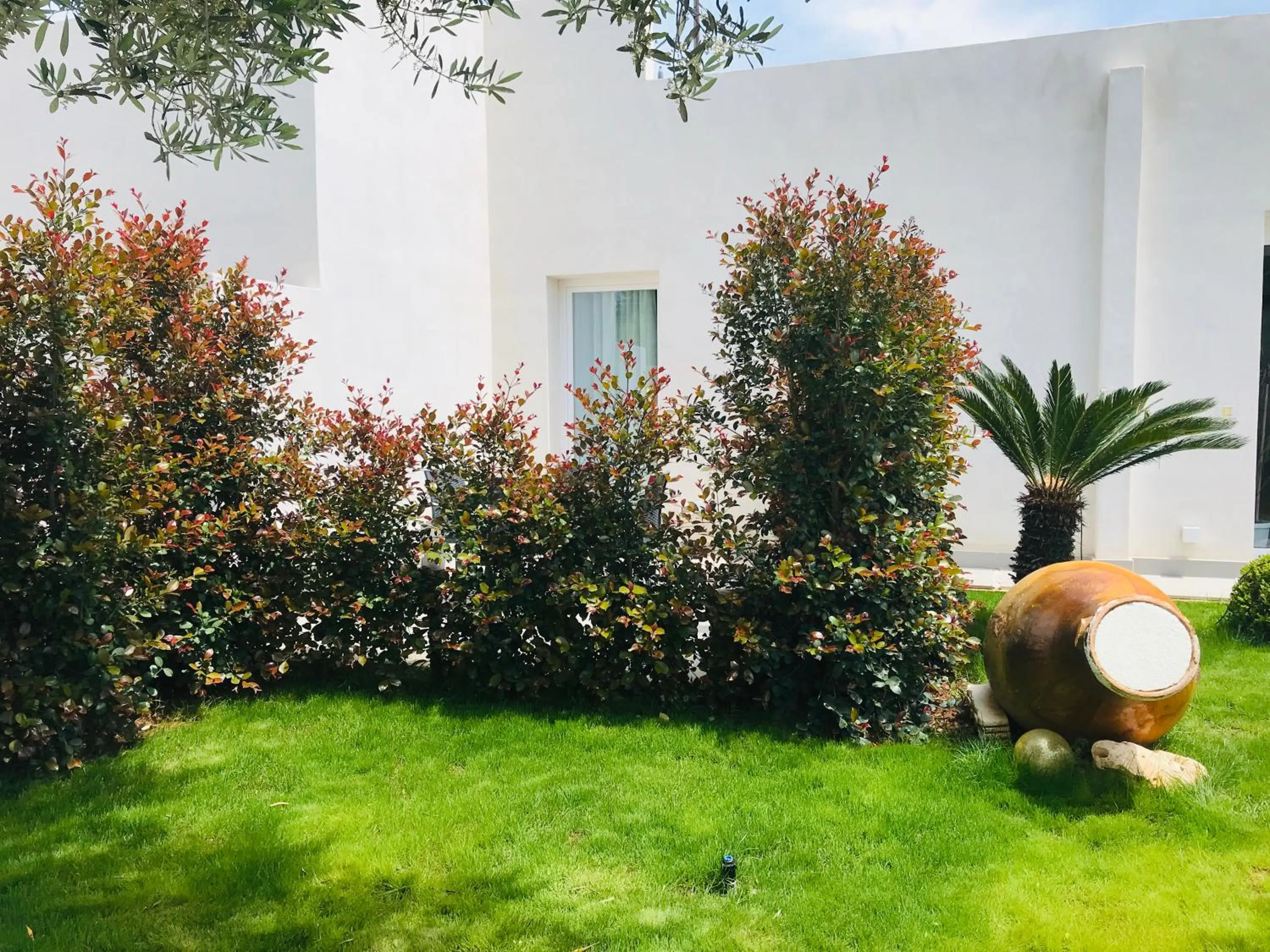 Garden in Hotel Belsito