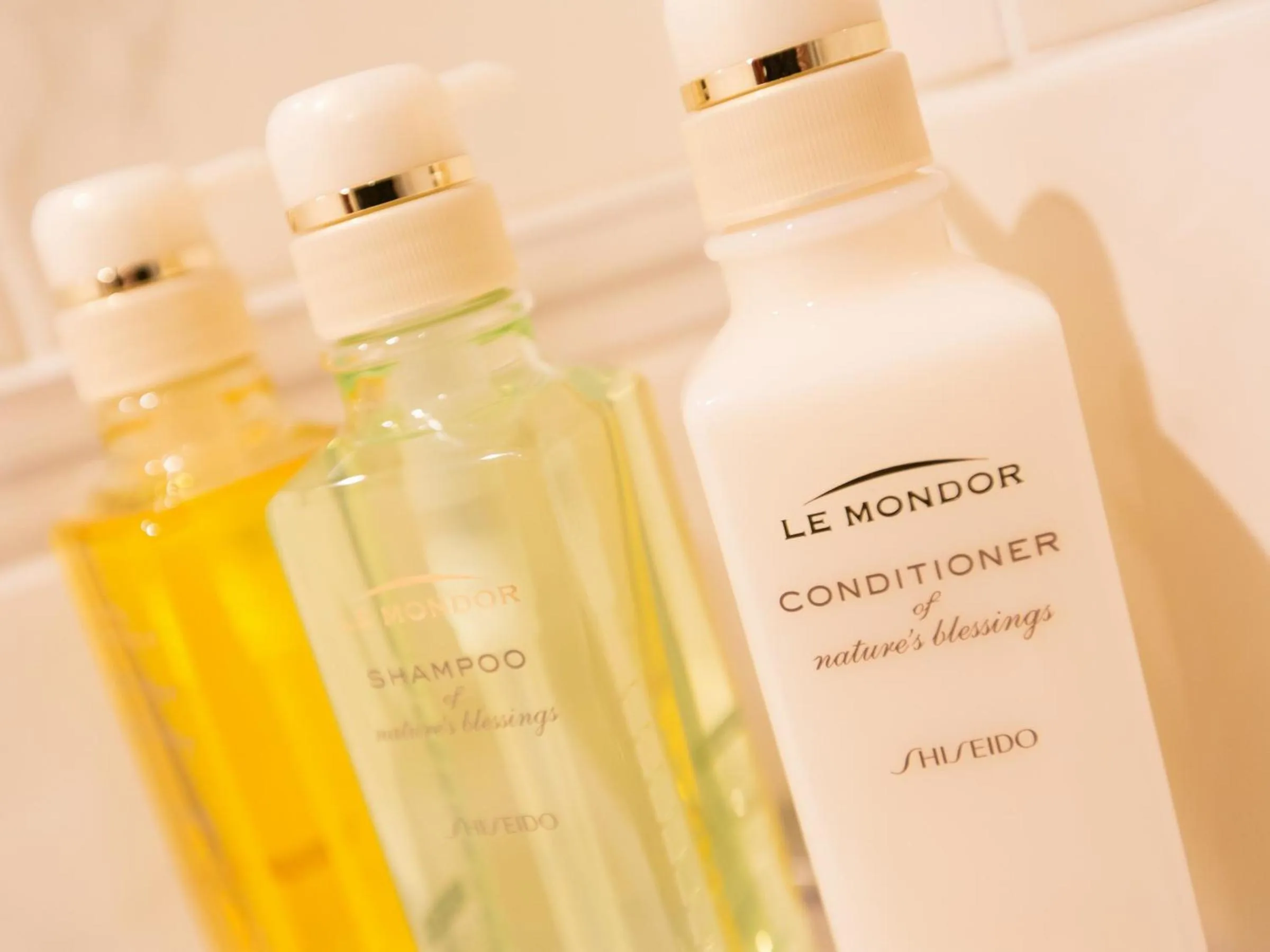 Area and facilities in Hotel Shiki Utsubo Park